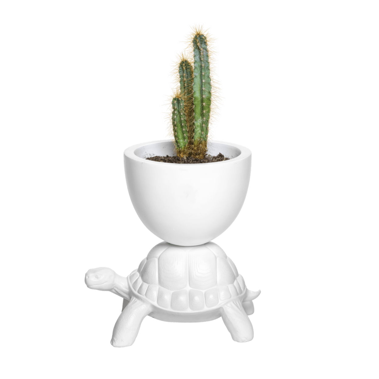 Osłonka TURTLE CARRY biały Qeeboo Eye on Design