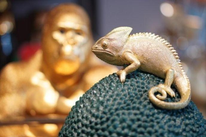 Pojemnik dekoracyjny CHAMELEON zielony Kare Design Eye on Design