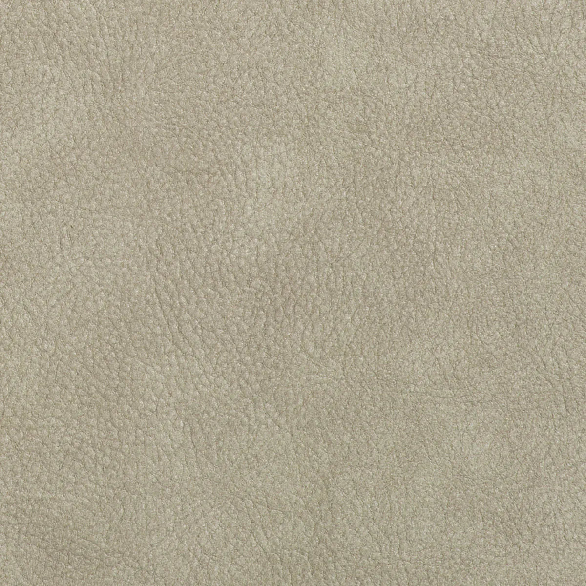 Set von Samtstühlen Klippen hellgrau