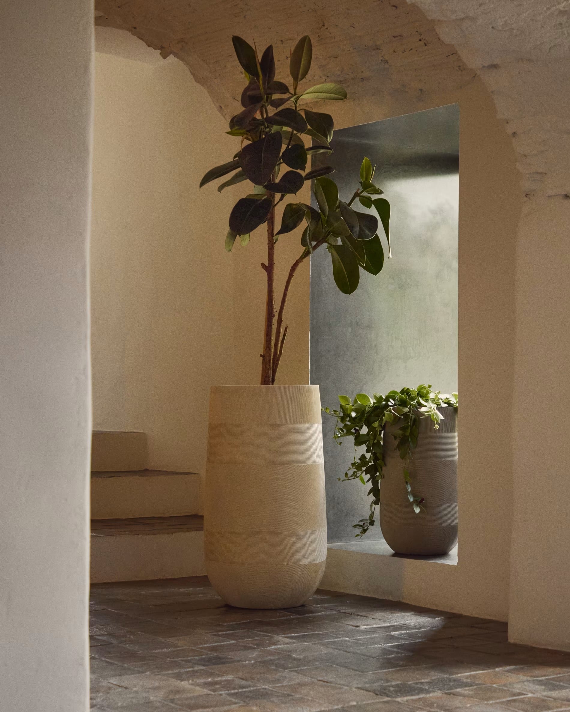 Zestaw donic TIVAL beżowy policement