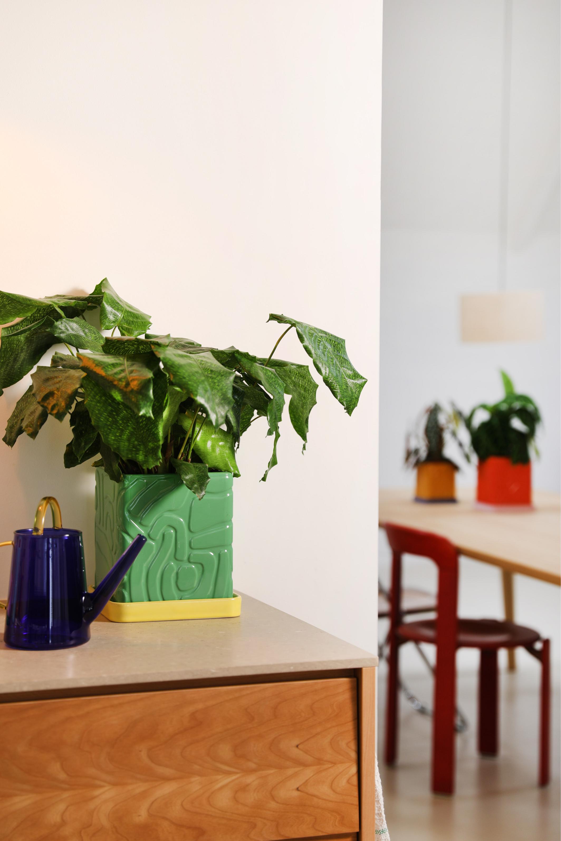 Bloempot TRIBE groen met gele schotel