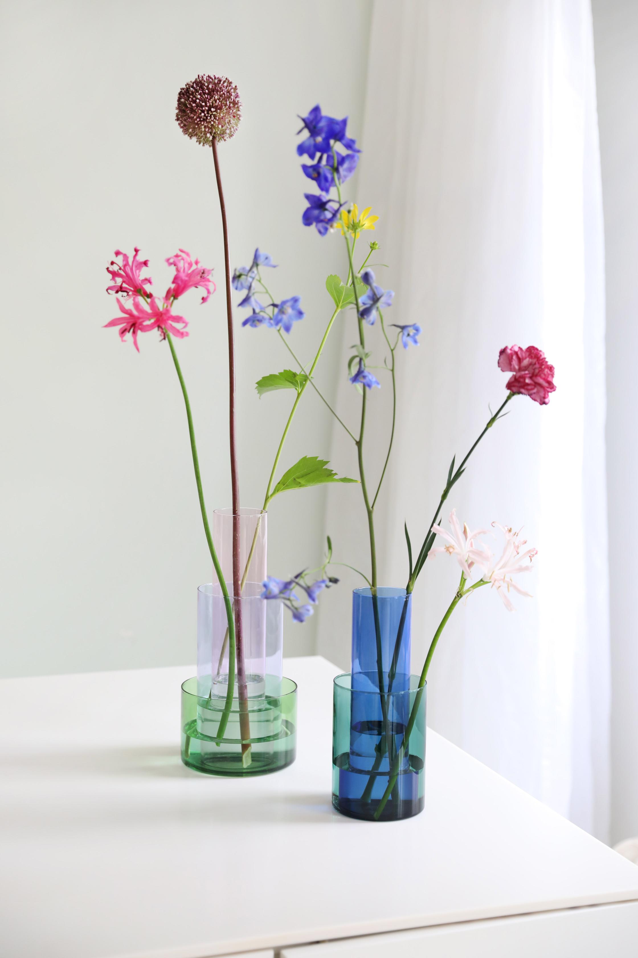 Vaas AMPHI blauw met groen