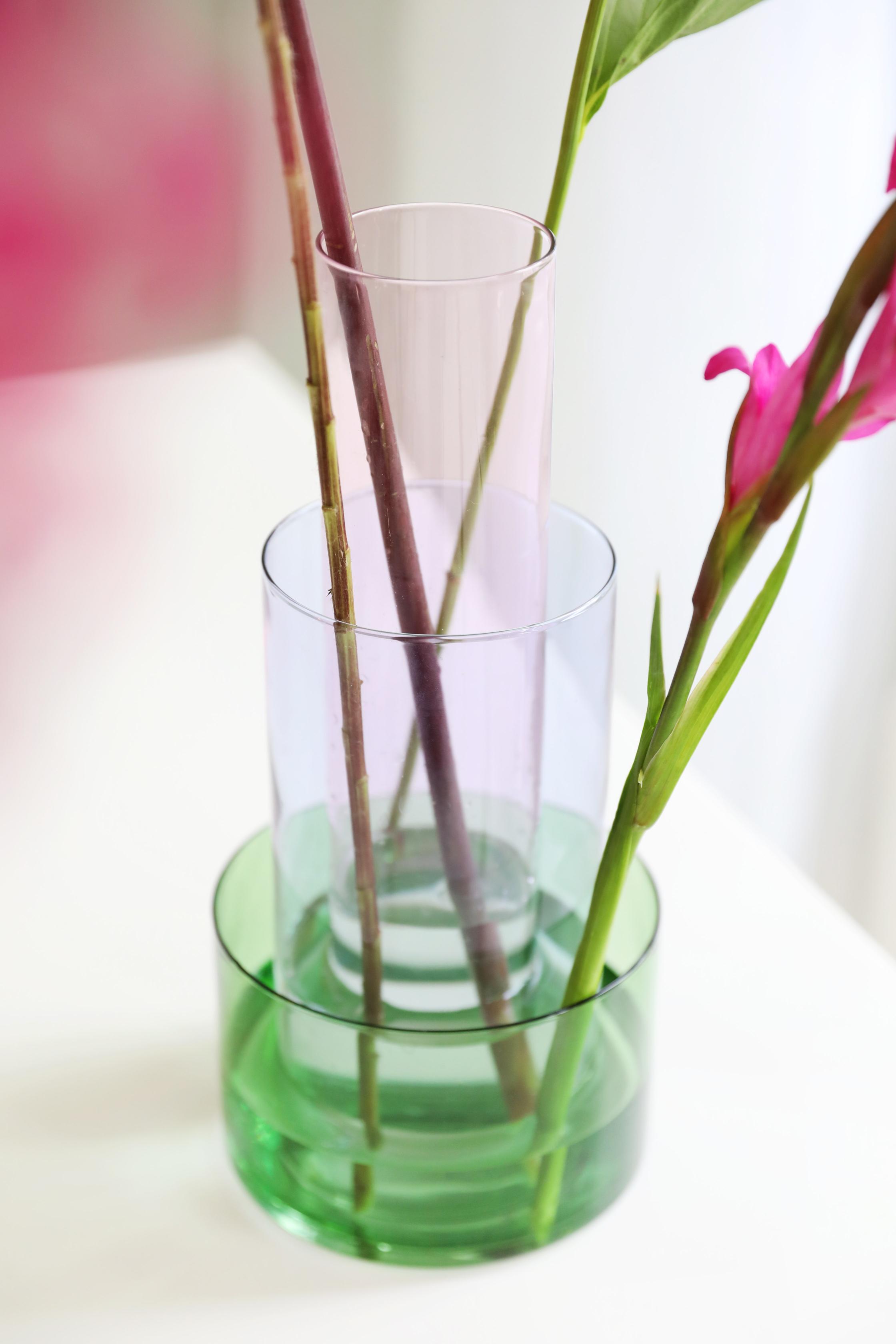 Vaas AMPHI roze met paars en groen