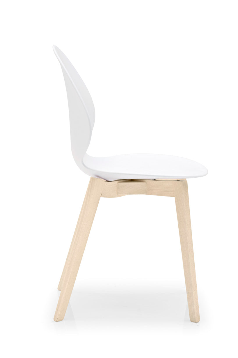 BASIL Chair with White Seat and Bleached Wooden Base