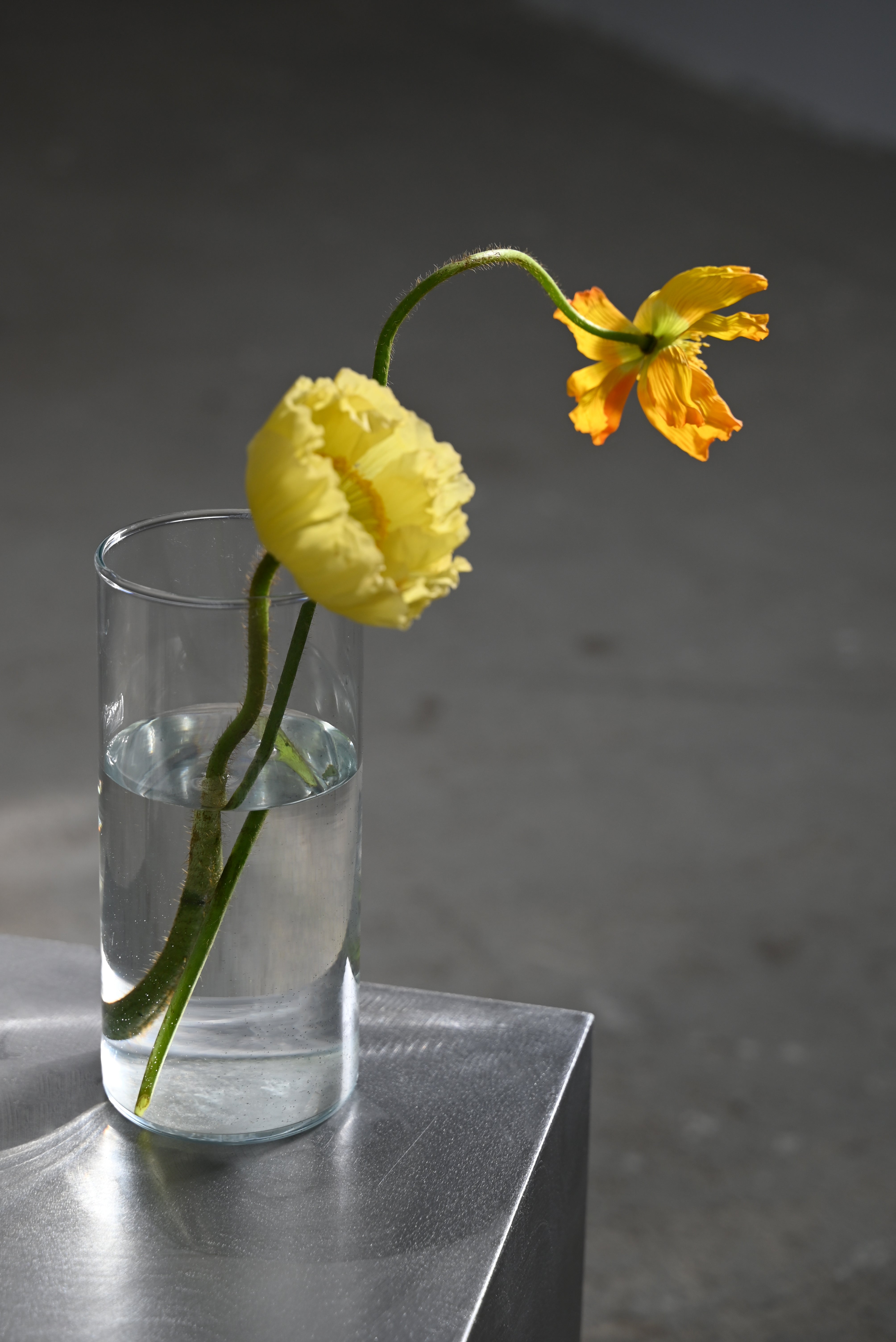 Bijzettafel MUSTE staal