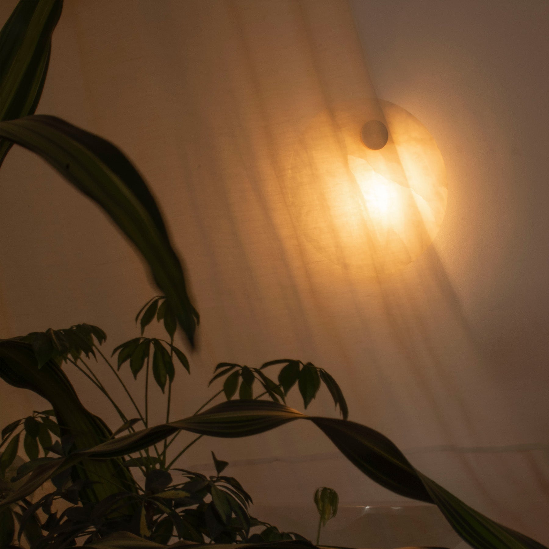 Wandleuchte aus Alabaster EOS Messing