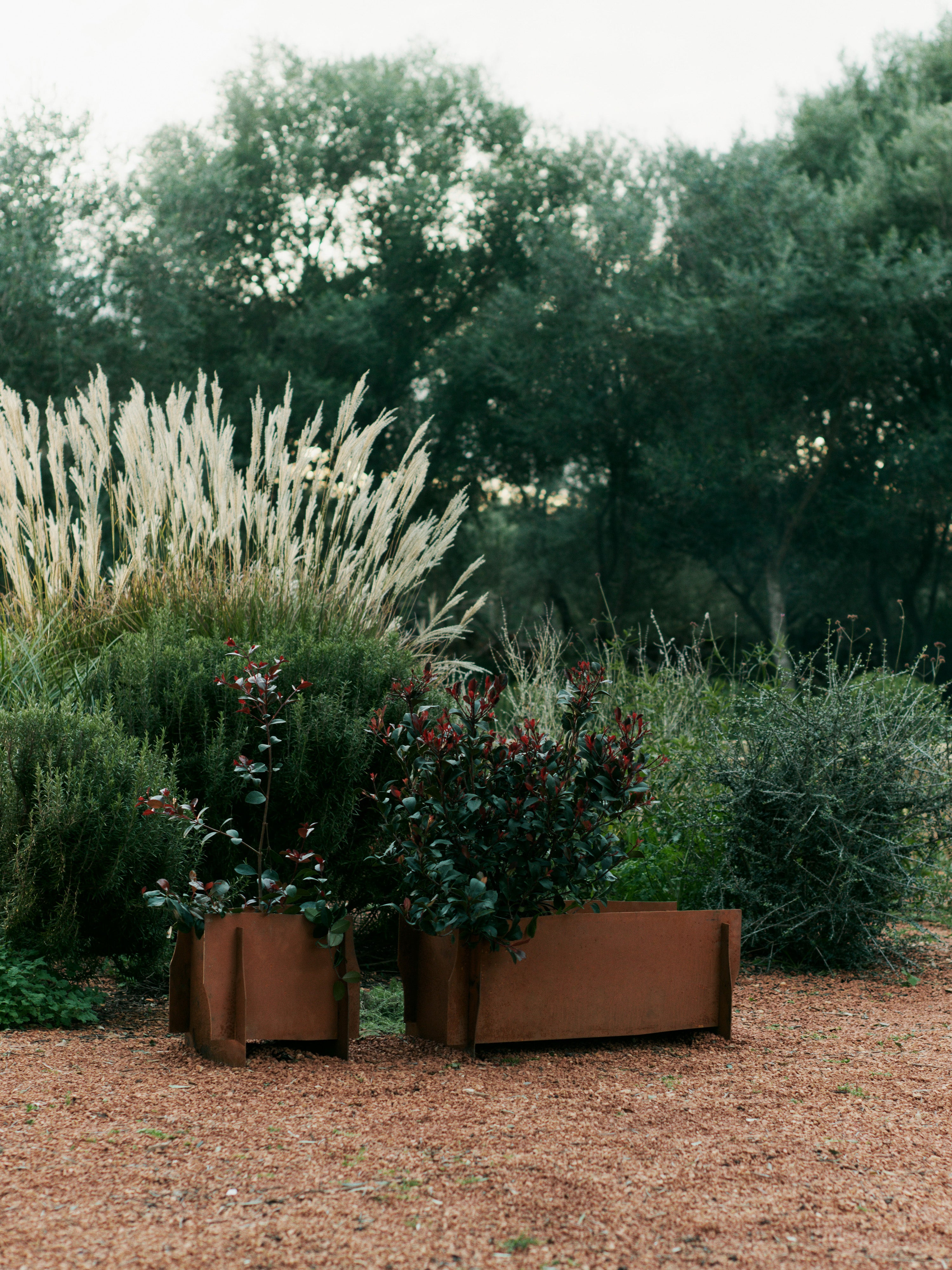 Donica LAPEL roestkleurig