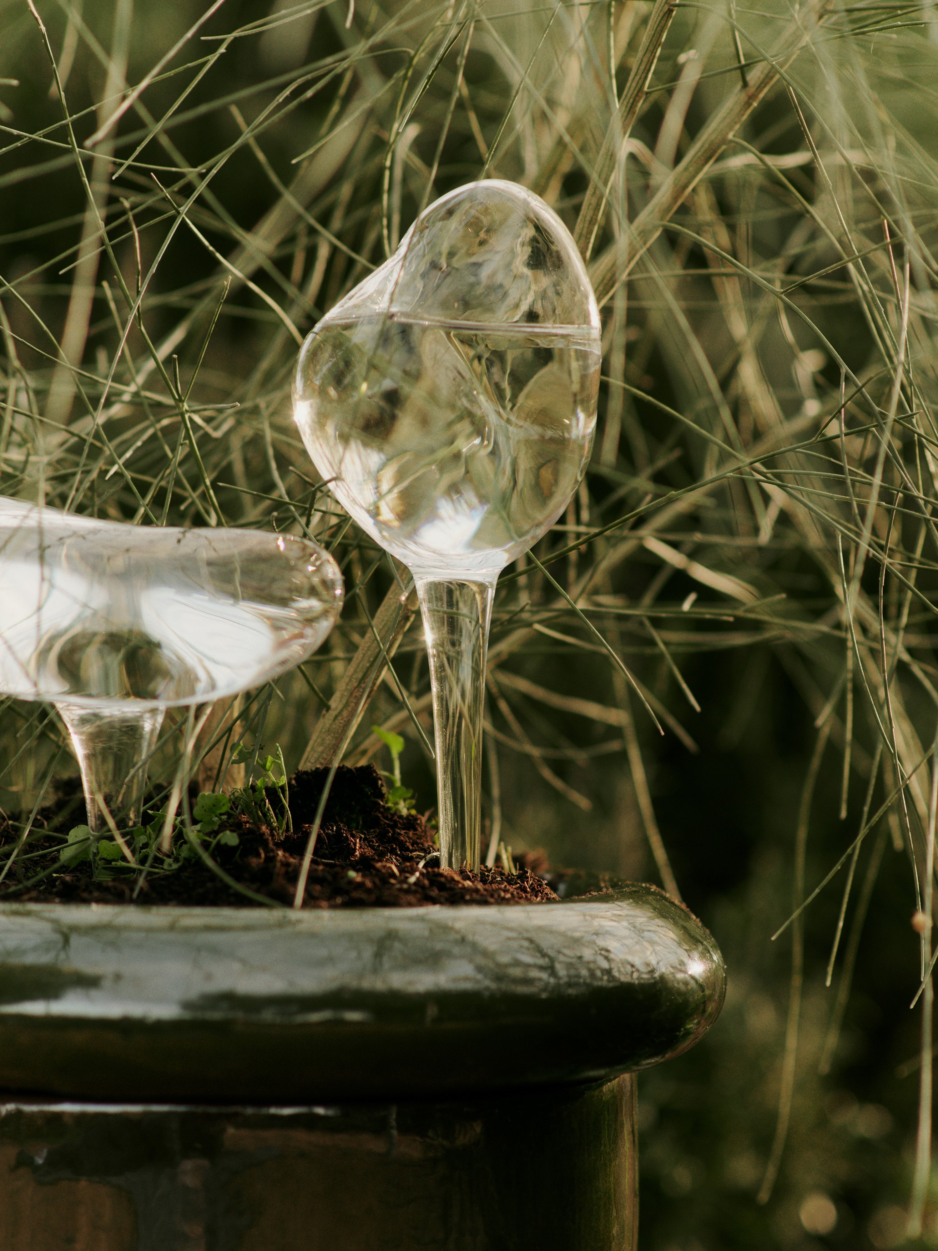 Bewässerungskugel-Set MERCURY Glas