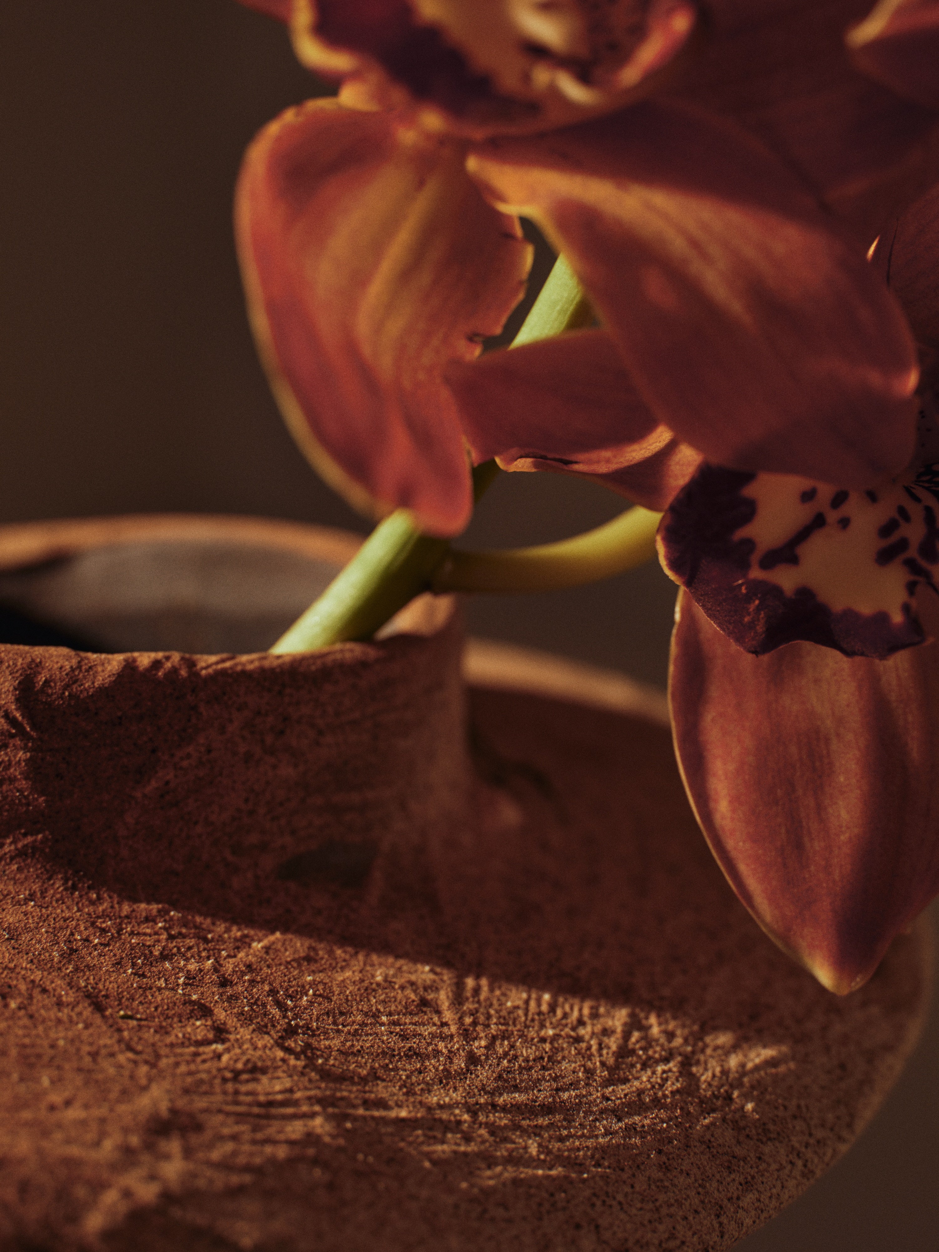Wazon ceramiczny EVIO ciepły beżowy – ferm LIVING