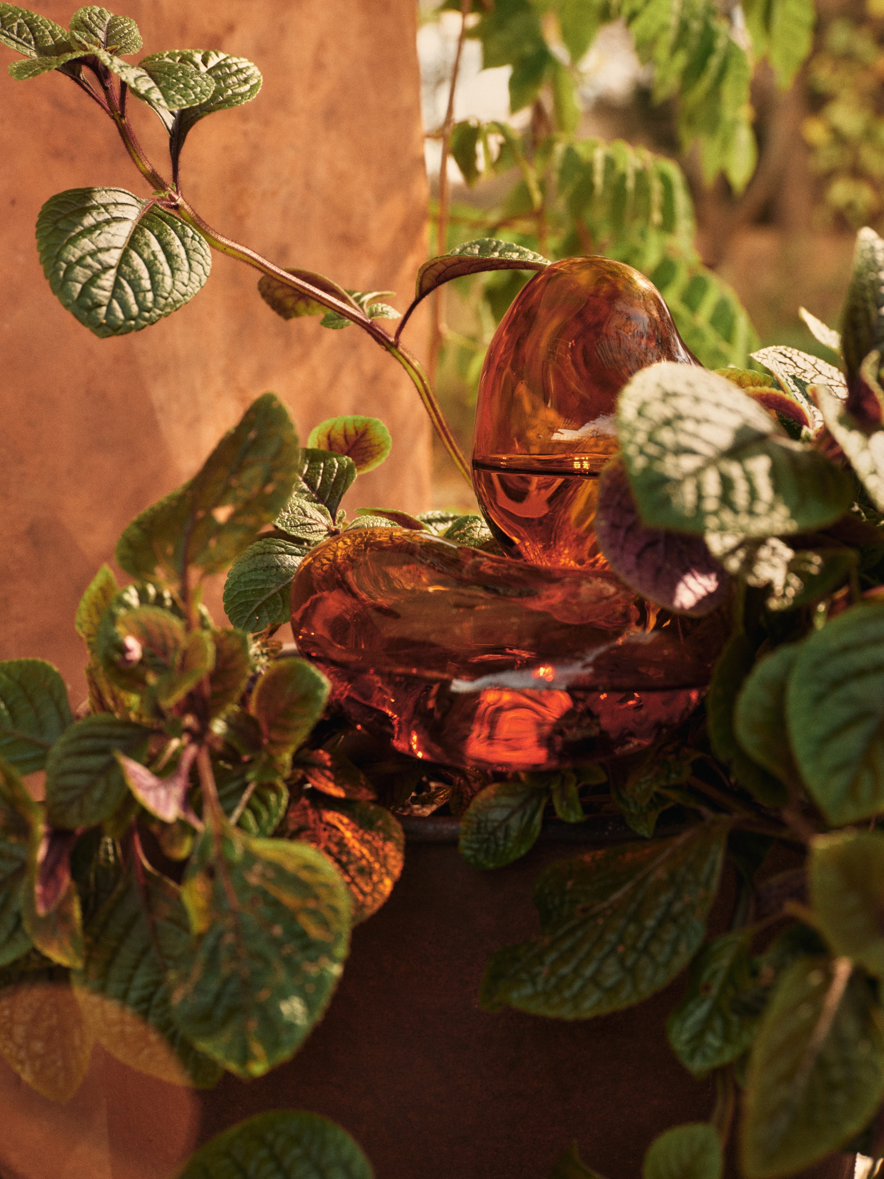 Bewässerungskugel-Set MERCURY bernsteinfarbenes Glas