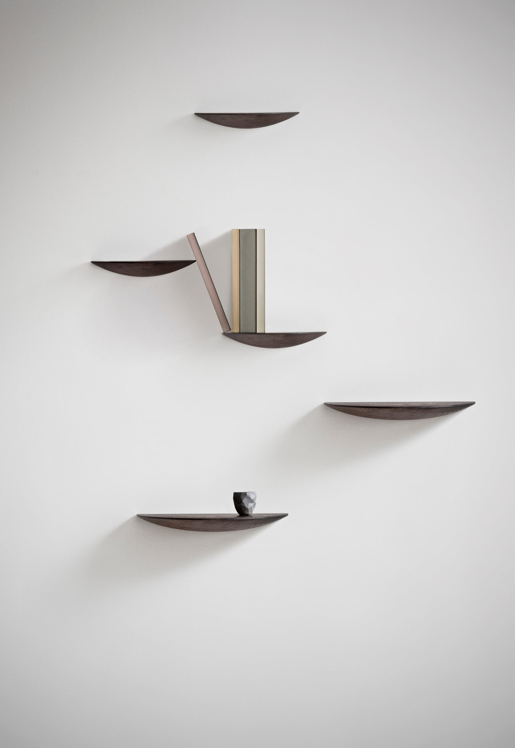 Wandregal GRIDGY FUNGI dunkles Eichenholz