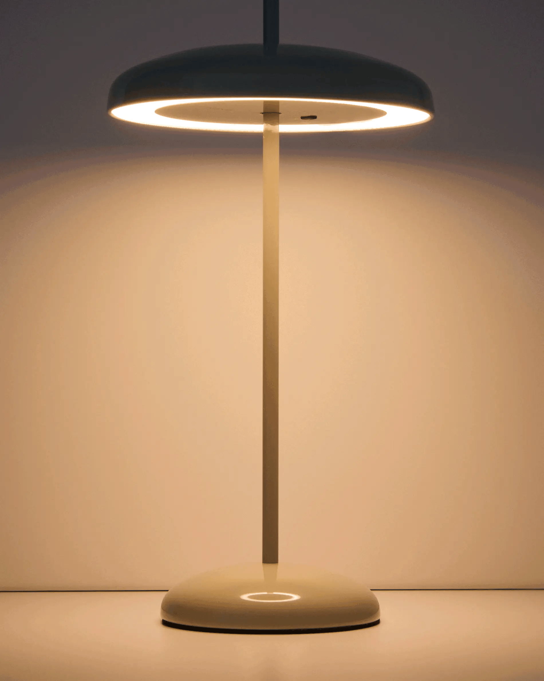 Draagbare lamp PORTE muntgroen