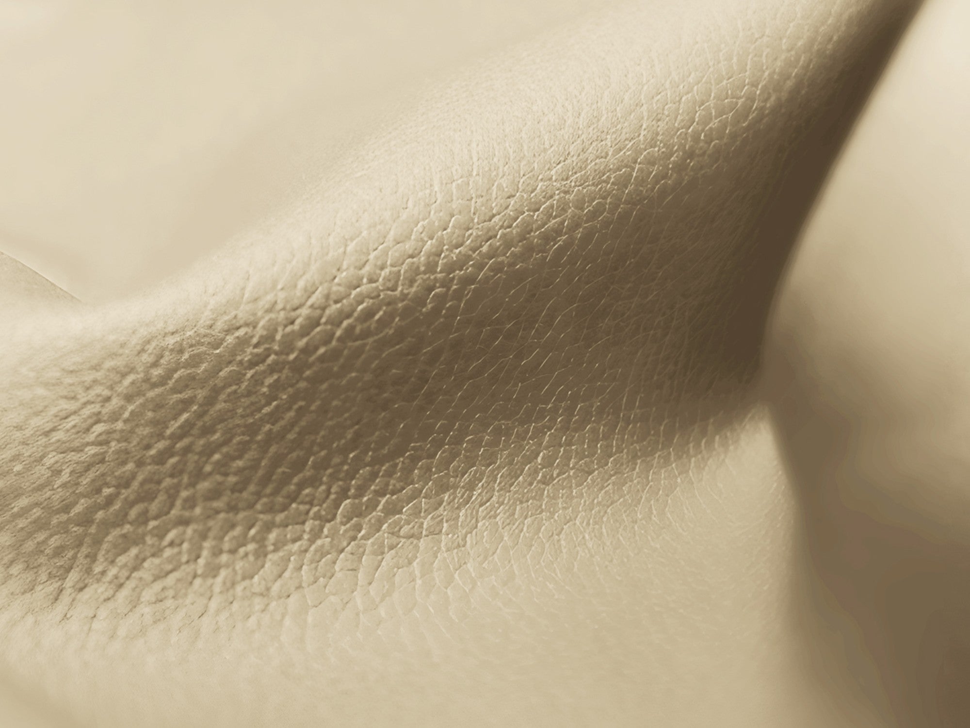 Fauteuil / module LOKUA beige ecologische leer