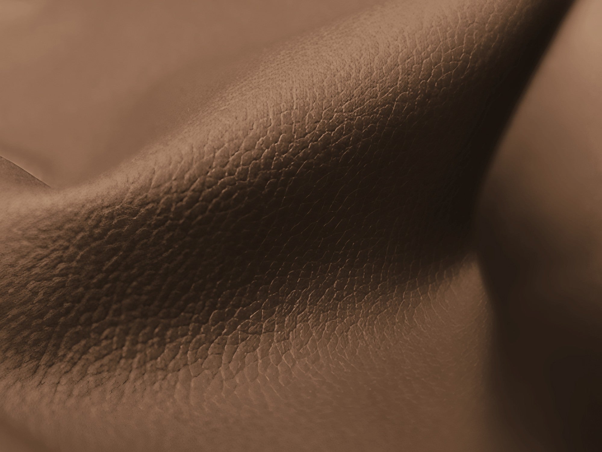 Armchair / module LOKUA chocolate eco-leather