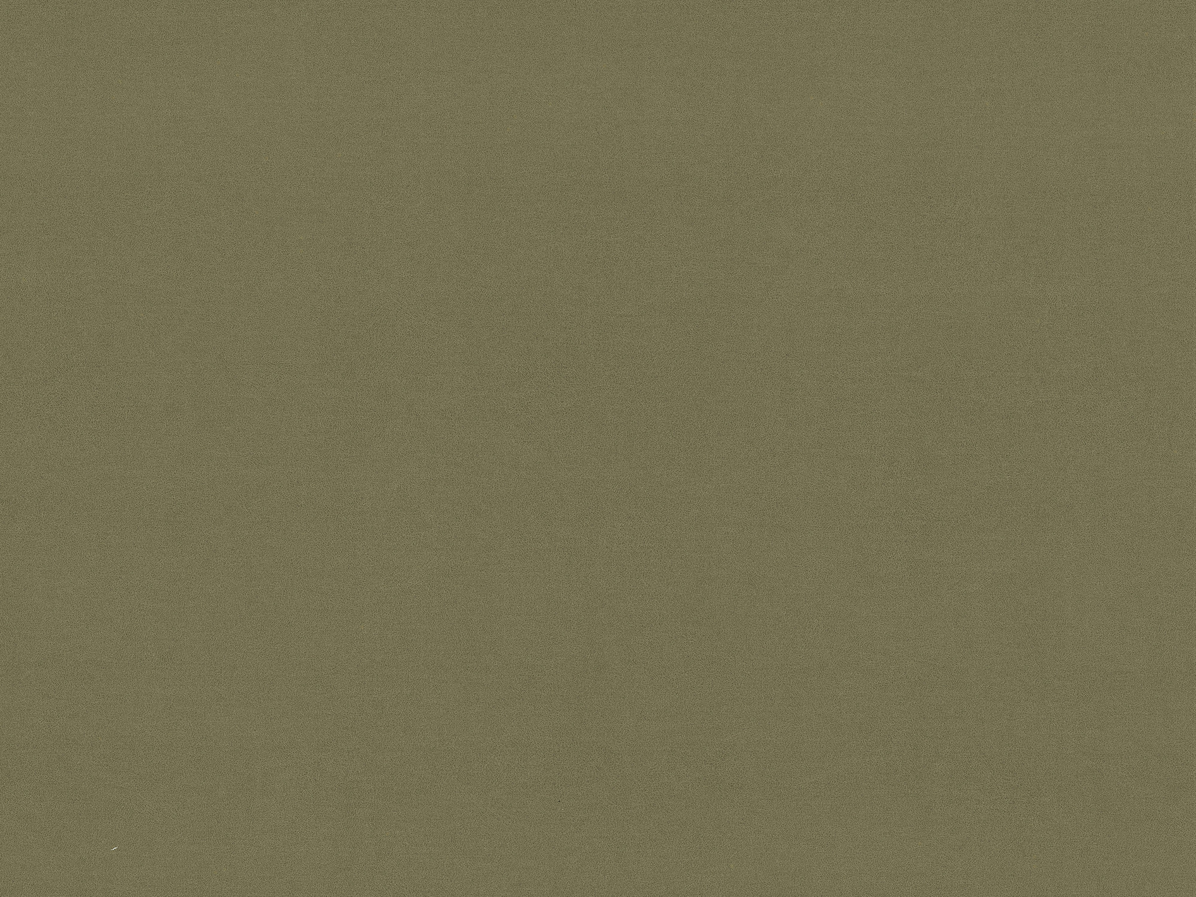 Velvet Bed AVELINE Moss Green