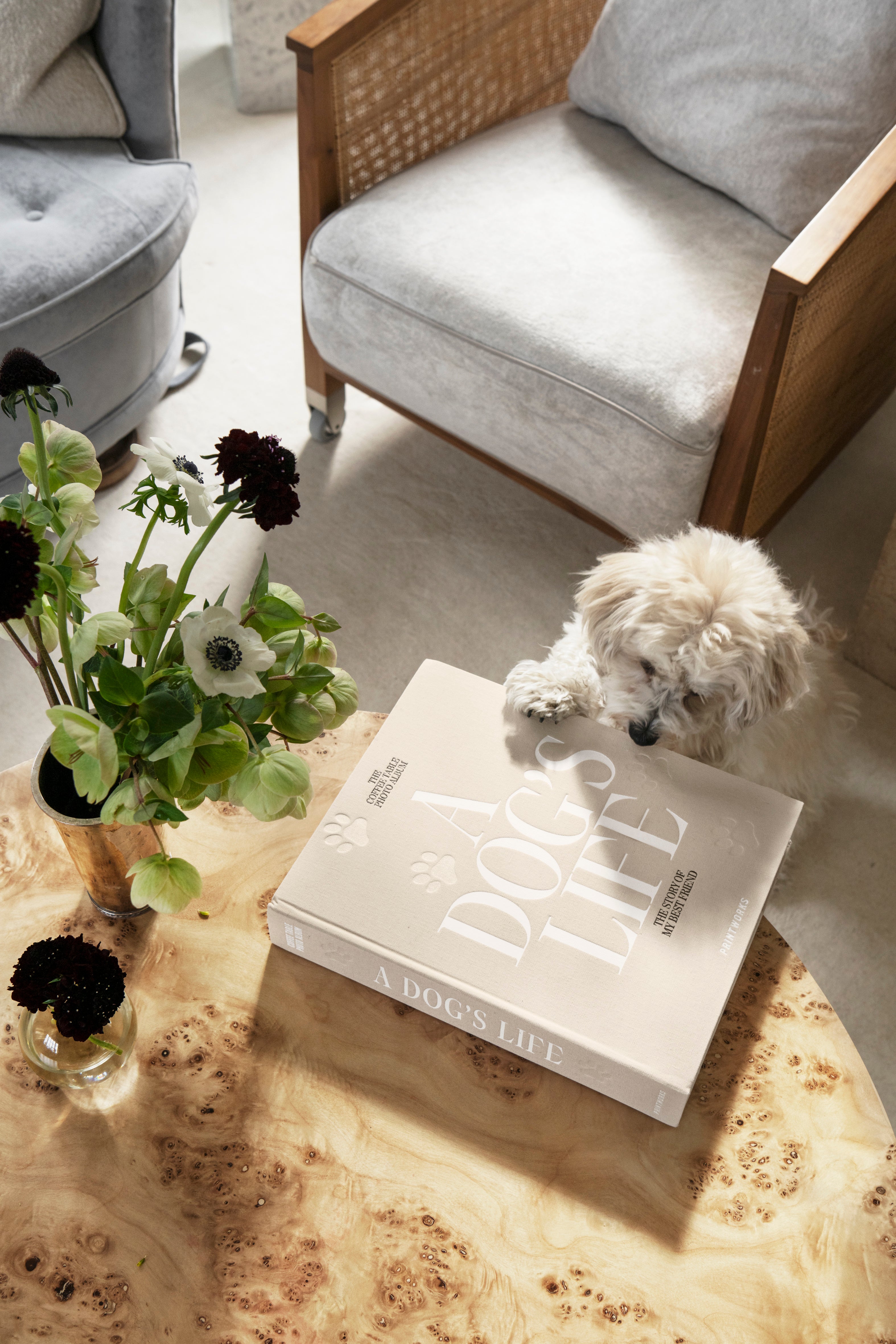 Fotoalbum A DOG'S LIFE beige