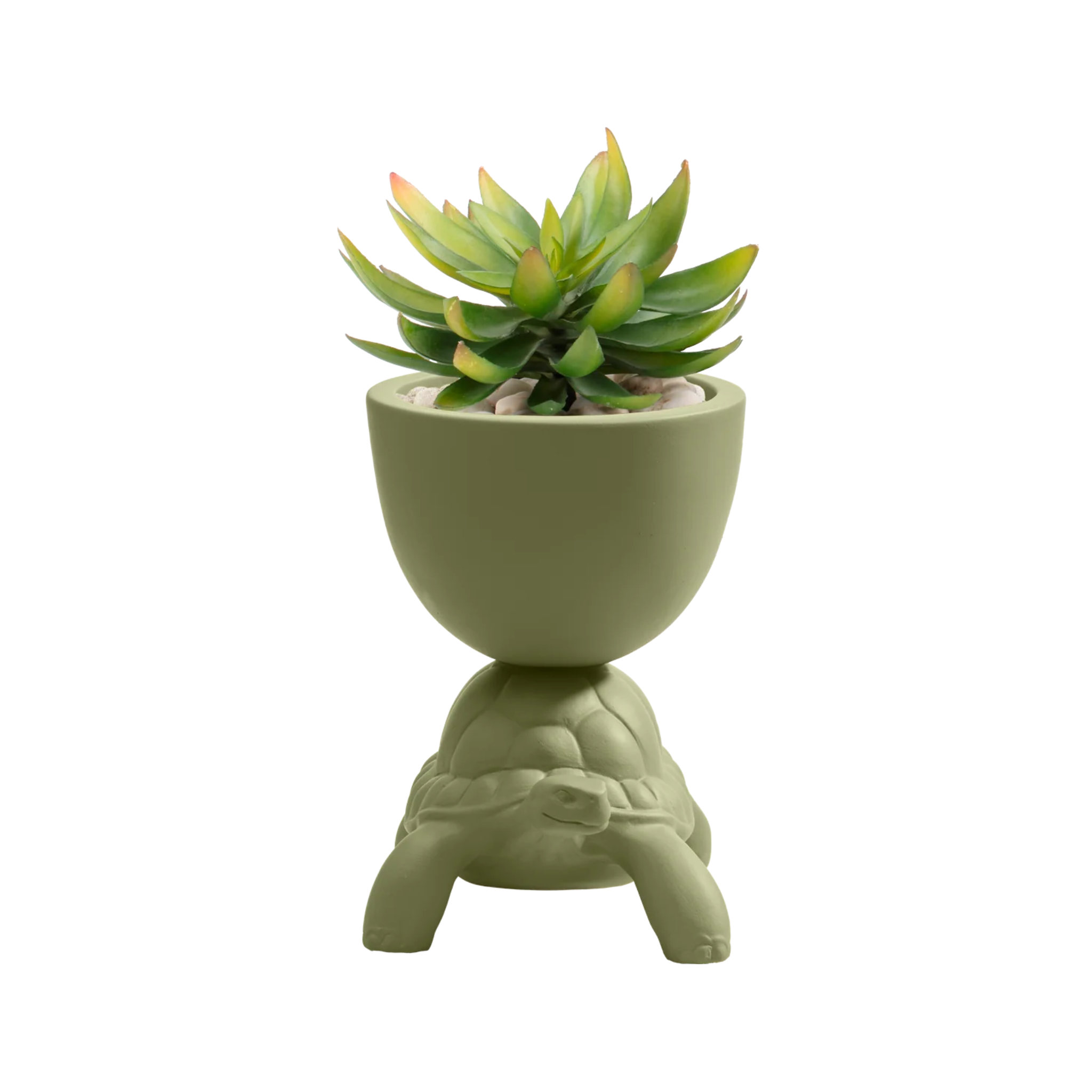 Blumentopf TURTLE CARRY grün