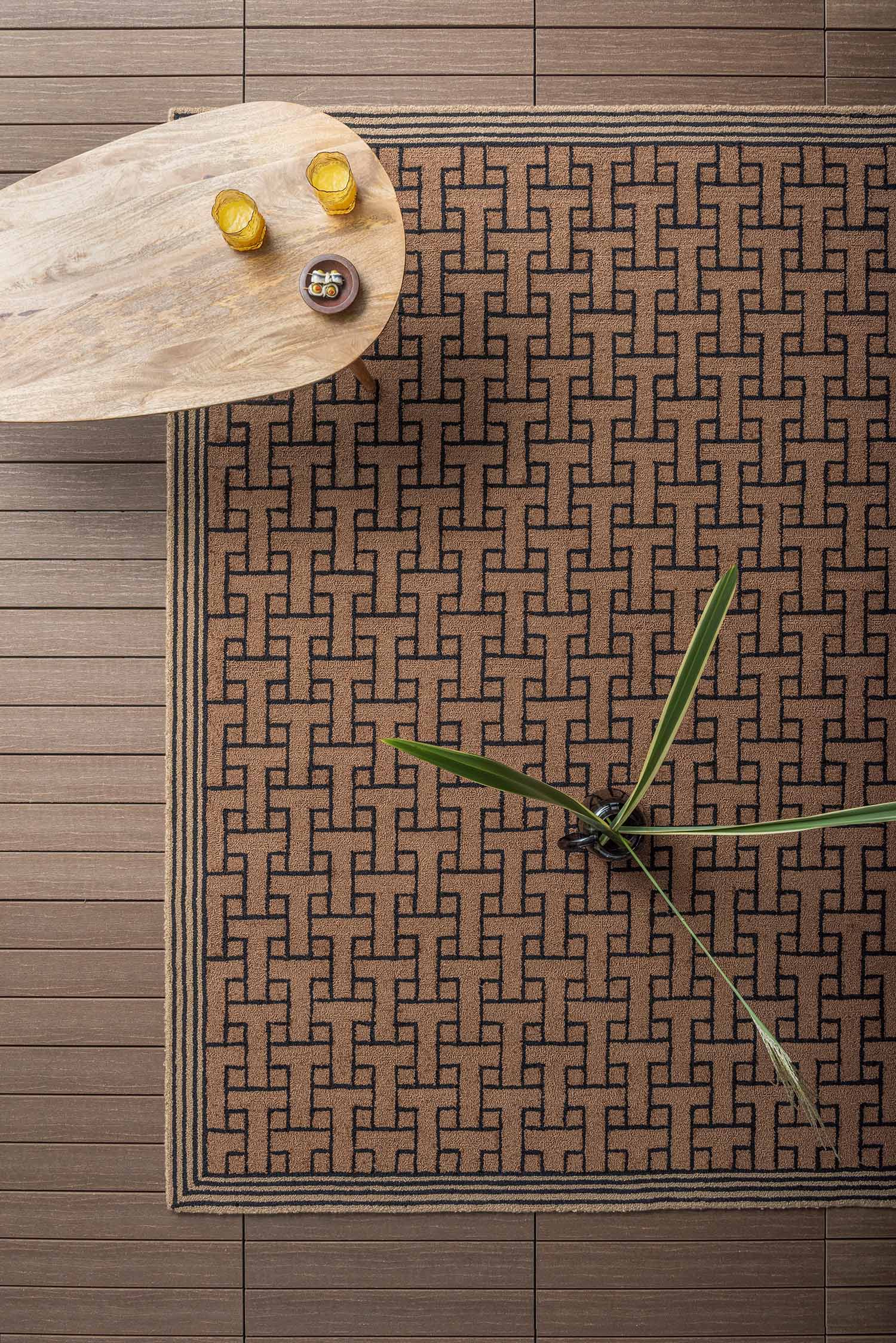 T-monogram external rug brown