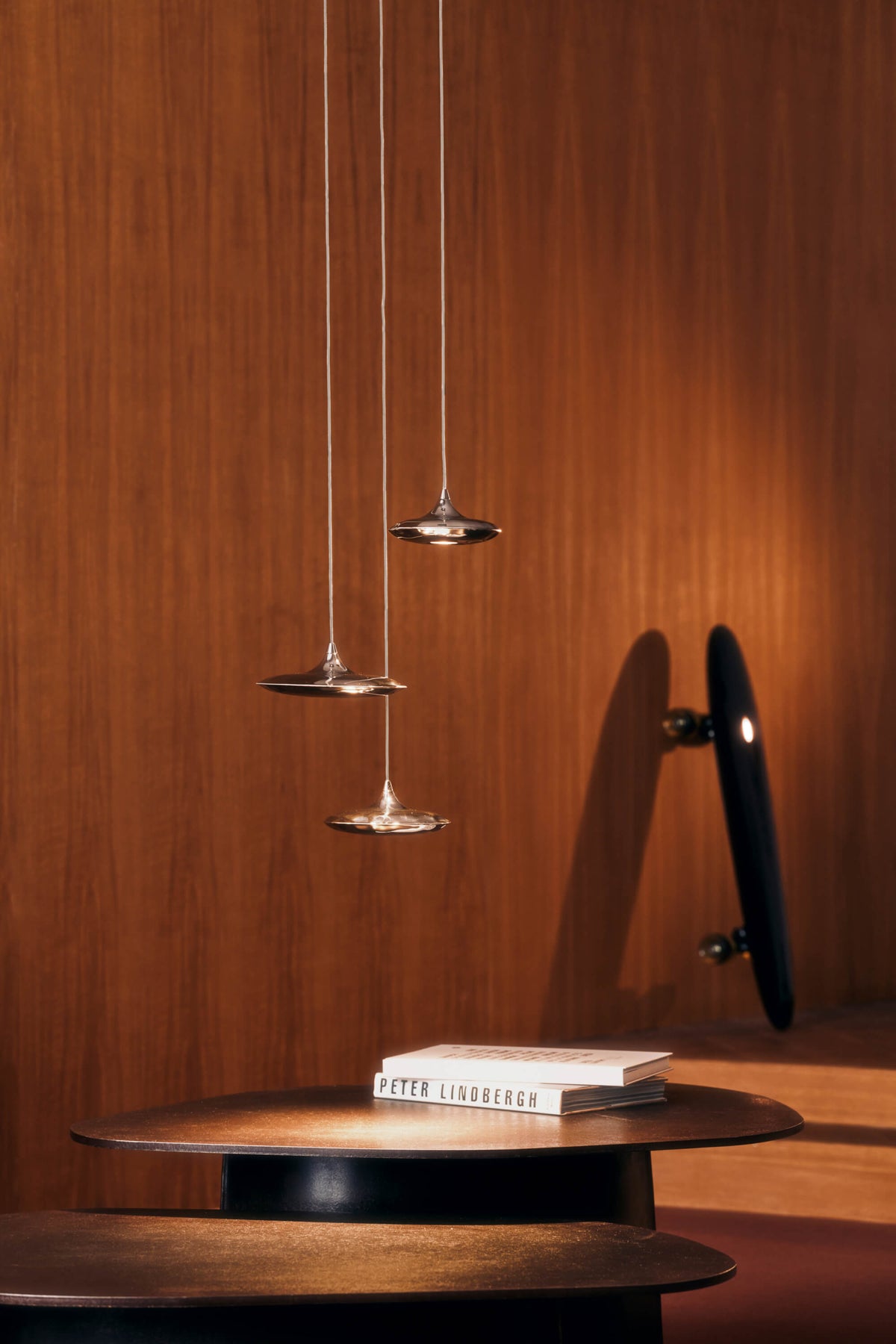 Hanglamp LAMPIN inox