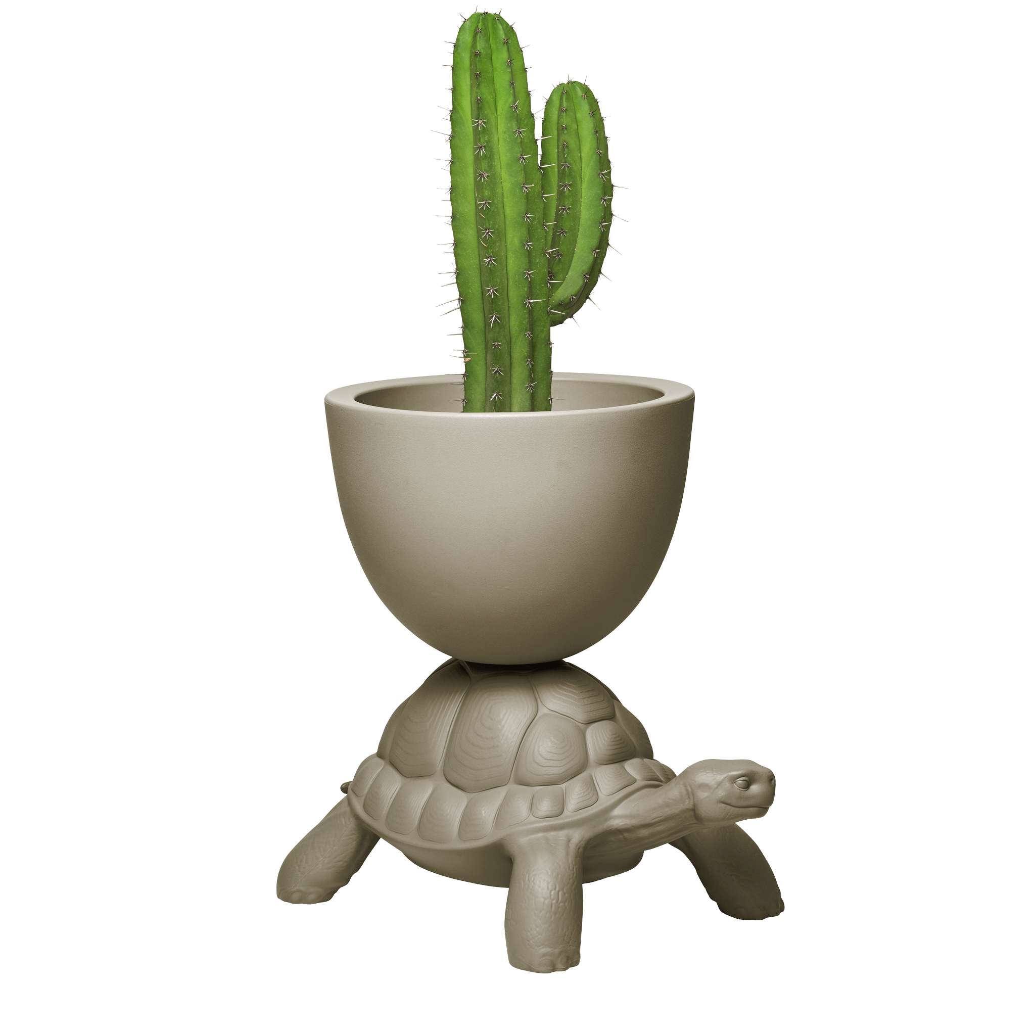 Doniczka TURTLE CARRY szary Qeeboo    Eye on Design