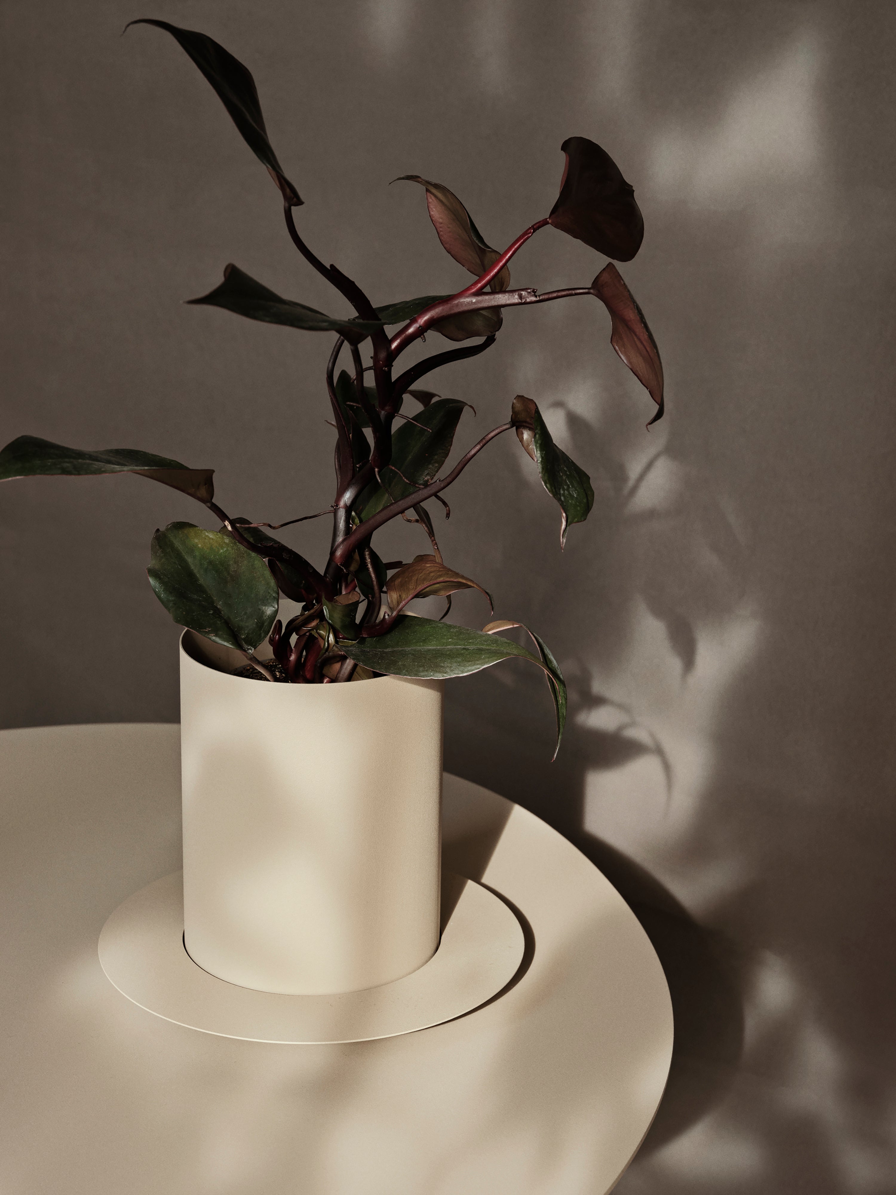 Bloempot AURAN beige