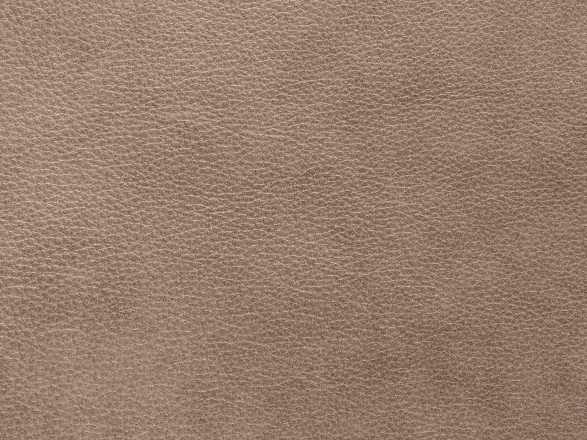 Fotel skórzany MONI cappuccino Maison Heritage    Eye on Design