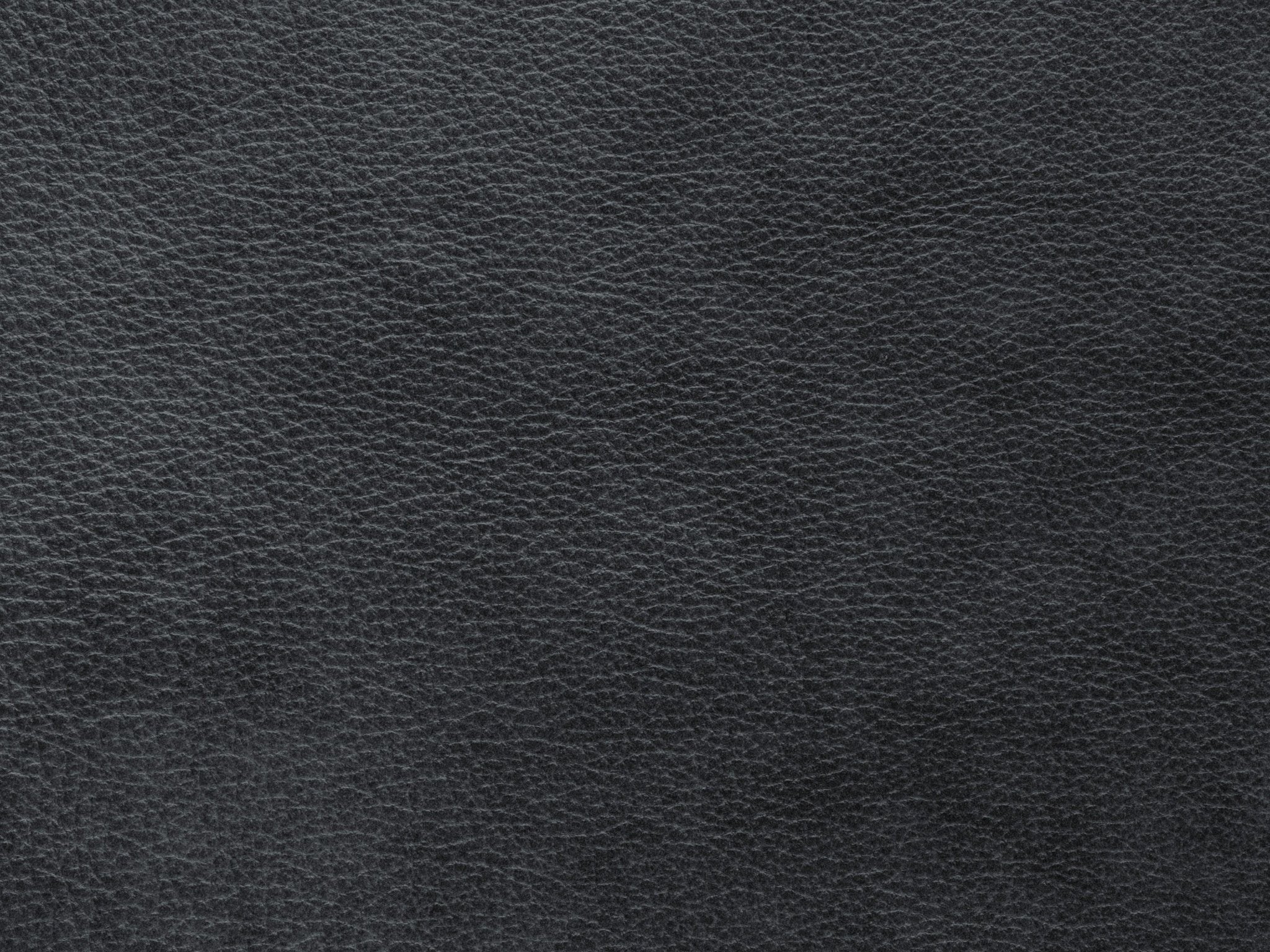 Fotel skórzany MONI grafitowy Maison Heritage    Eye on Design