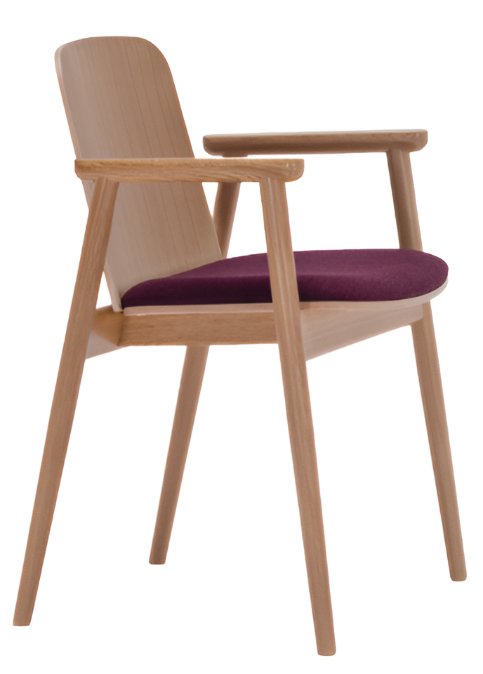 Fauteuil PROP B-4390 van hout
