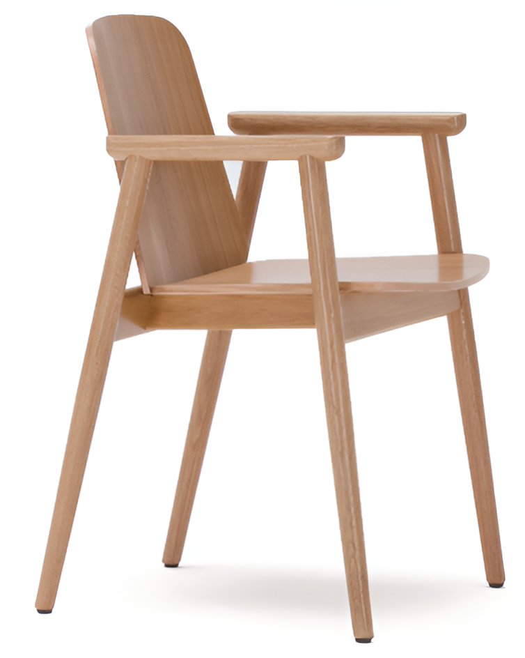 Fauteuil PROP B-4390 van hout