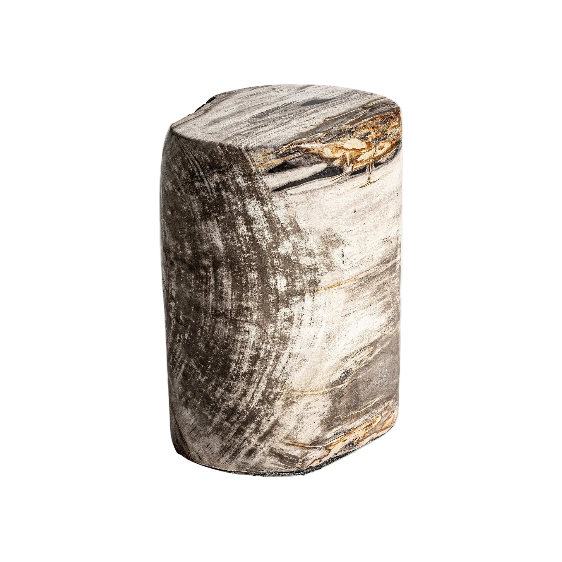 Beistelltisch TELTI aus braunem, versteinertem Holz