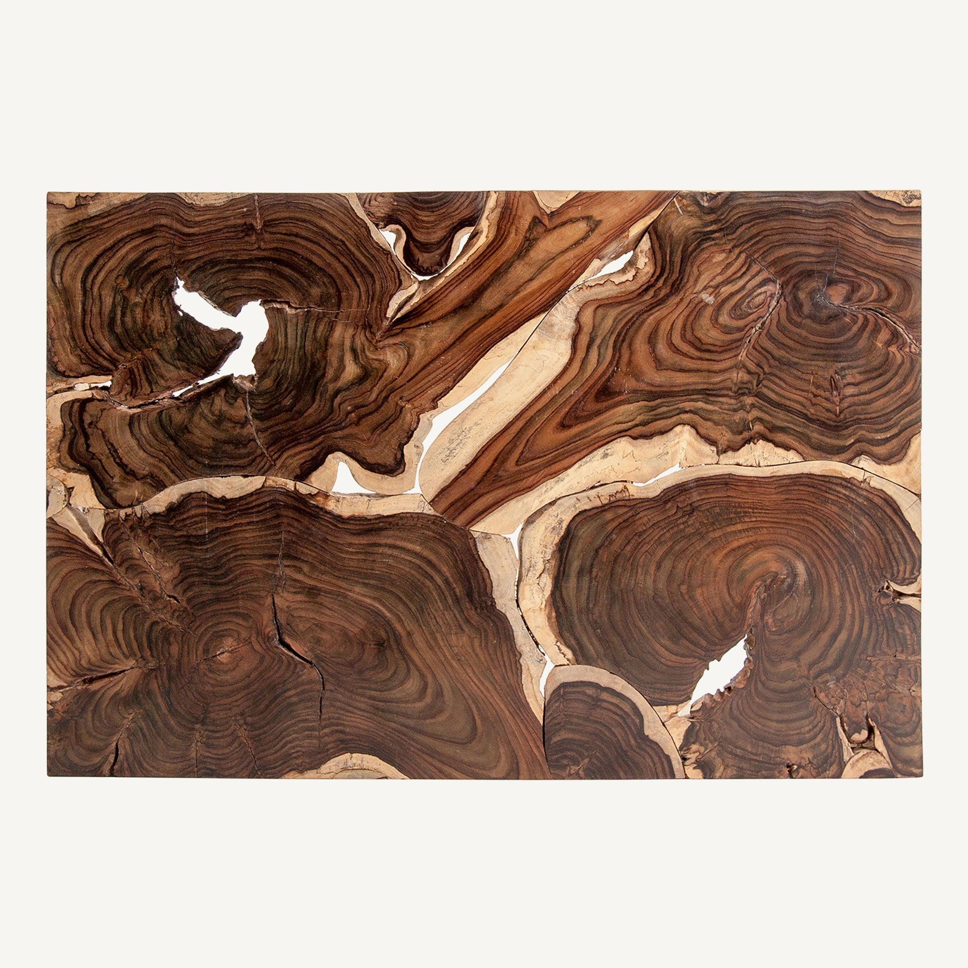 SABHA Coffee Table Exotic Wood