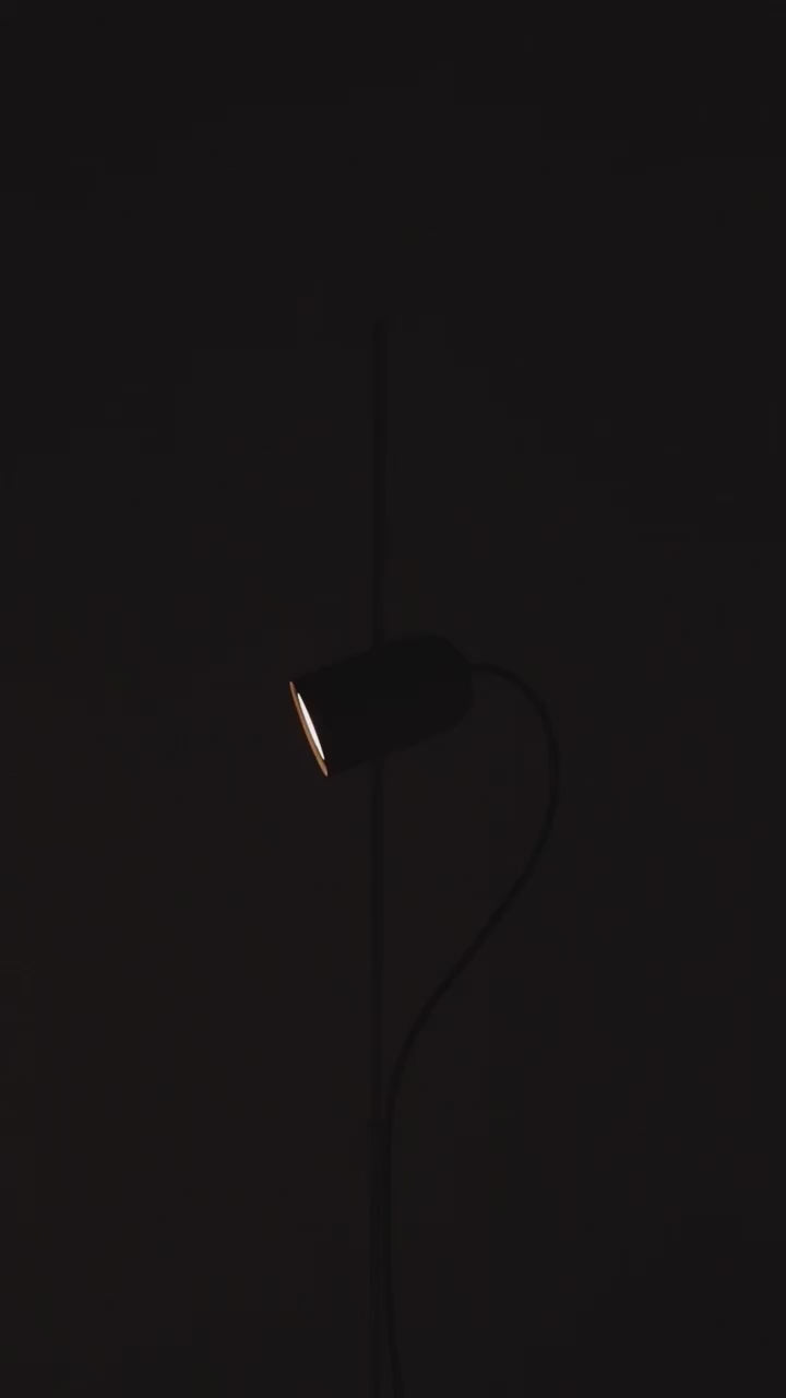 ONFA Table Lamp in Oak Wood with Graphite Finish