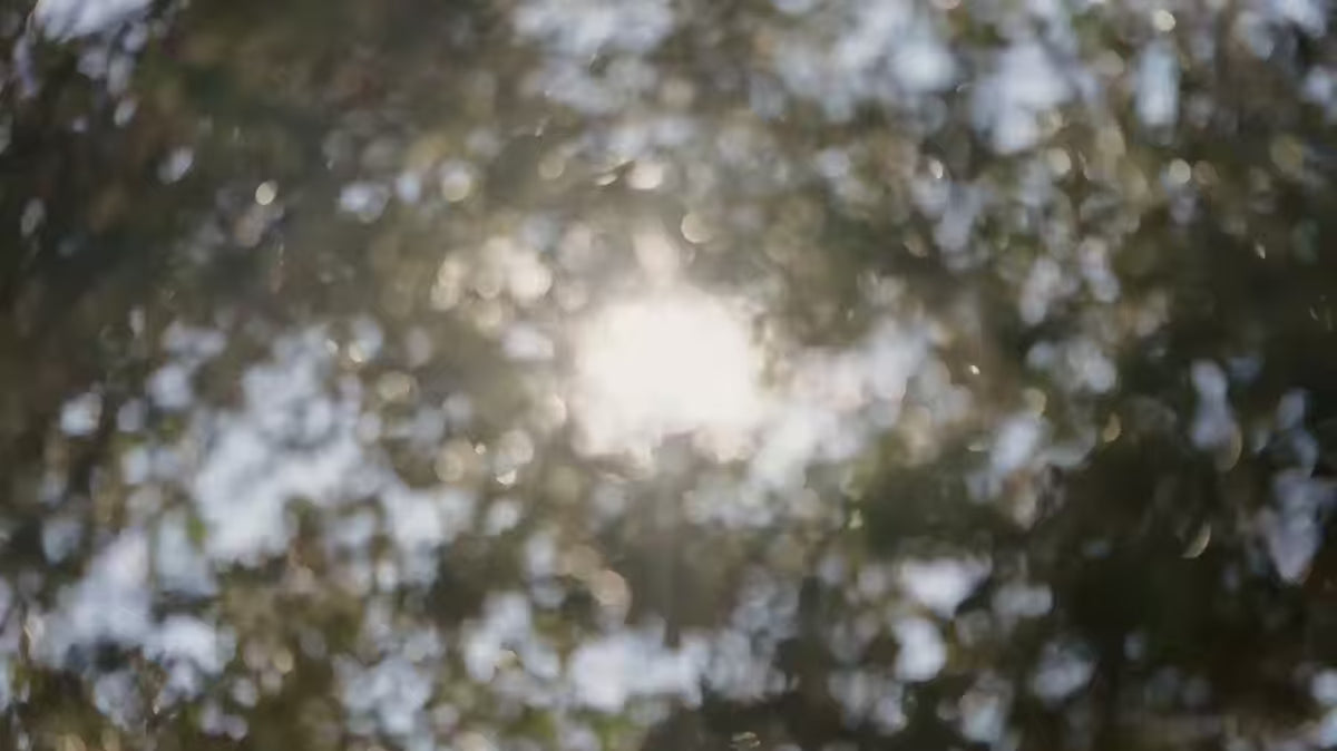 Joncols Beige Garden Sessel mit Olivenbasis