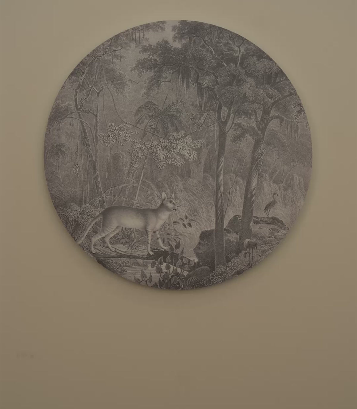 Wall Lamp DOTS LIGHTING - JUNGLE CAT gray