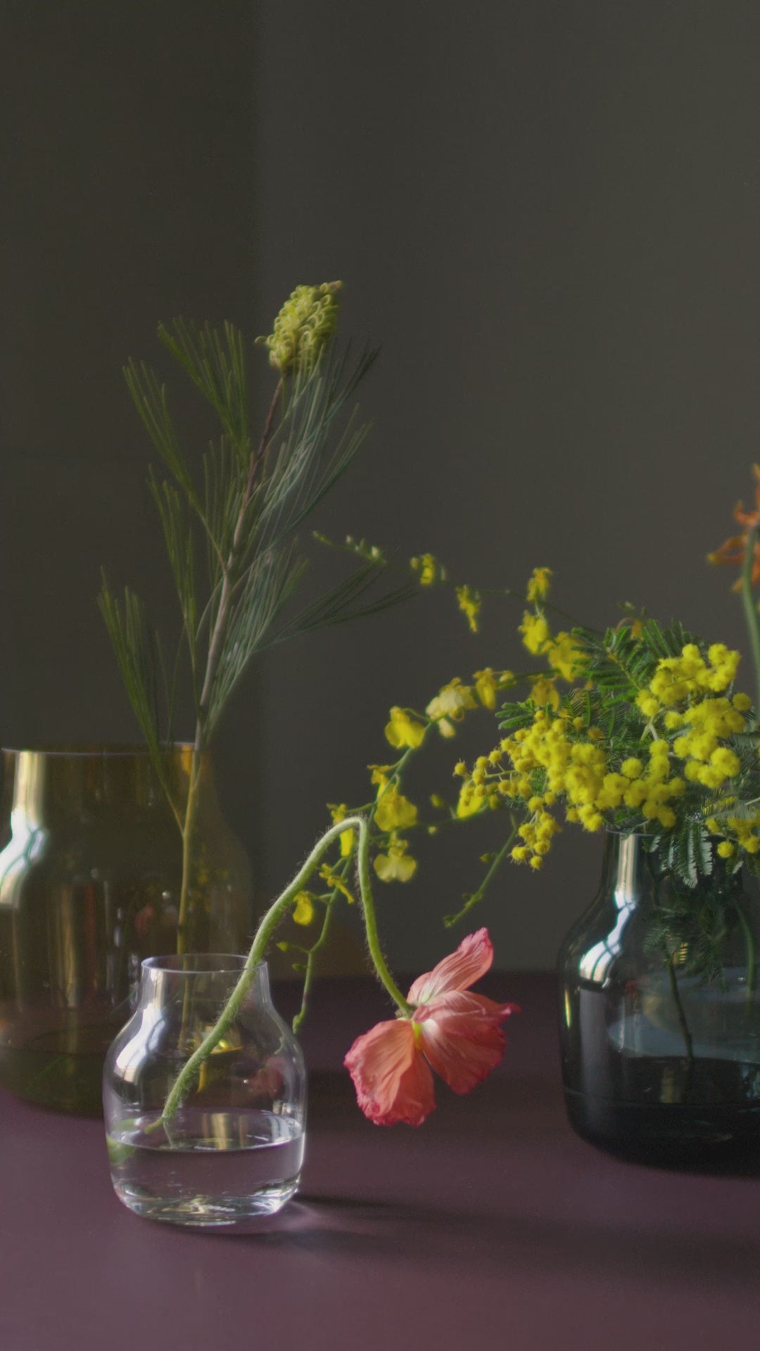 Transparent Glass Vase SILENT