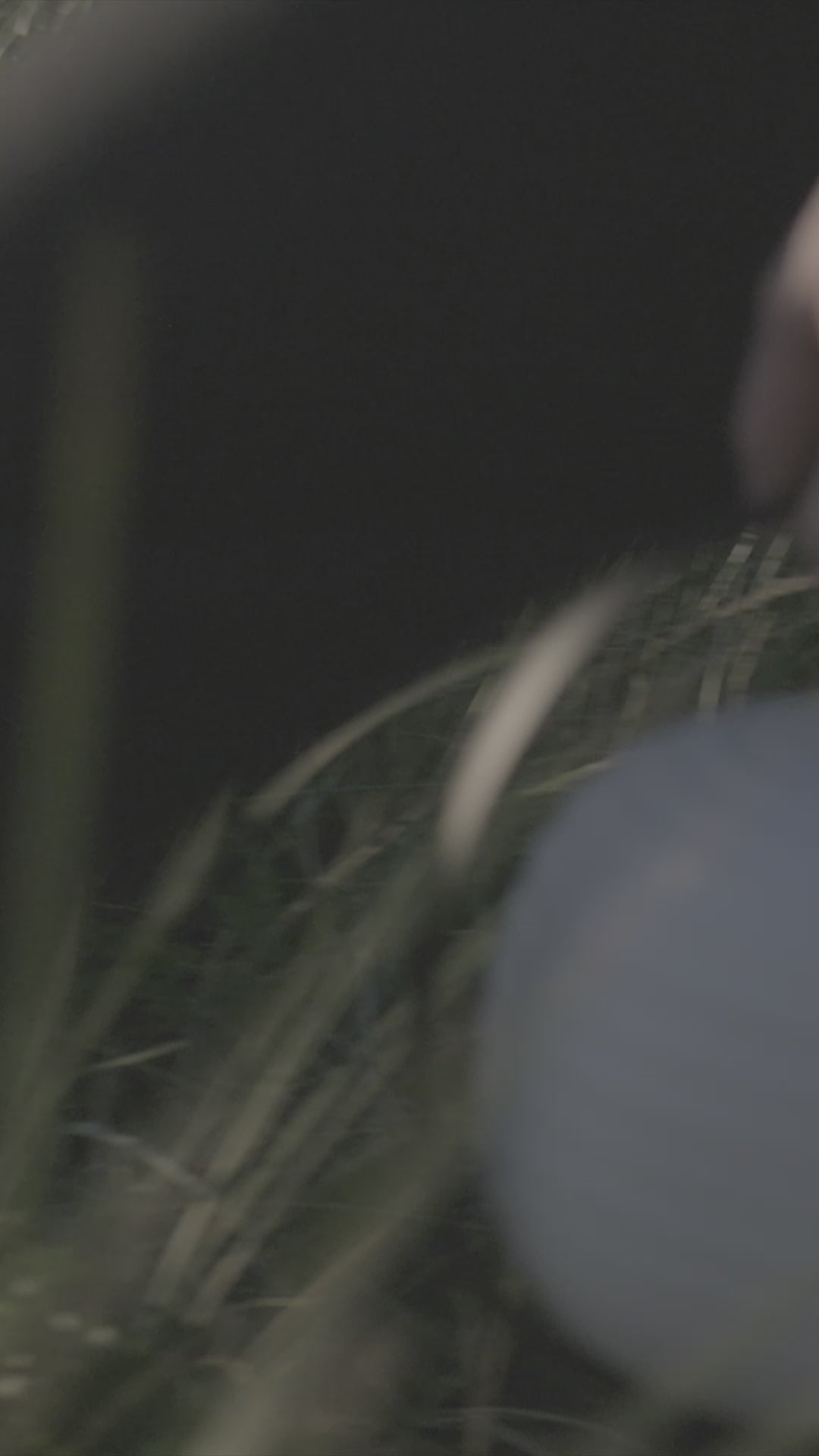 Draagbare lamp LANTERN wit met zwarte handgreep