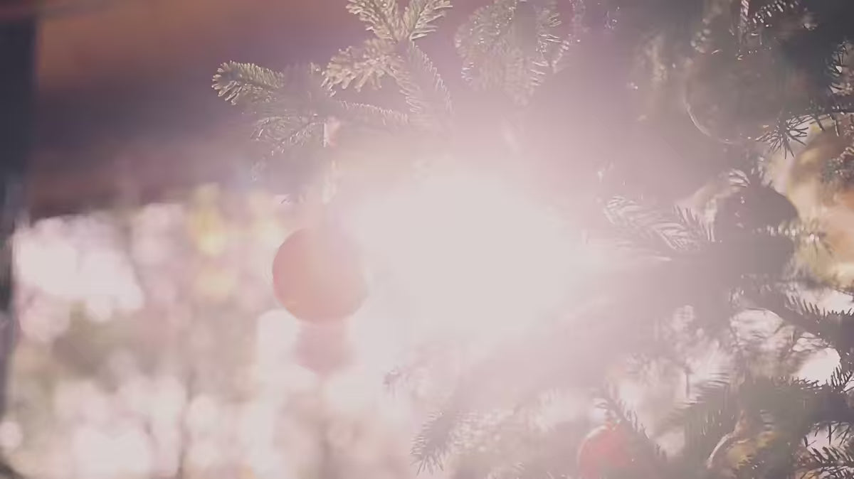 Puff DEBRA perlmuttfarbener Chenille mit Wenge-Basis