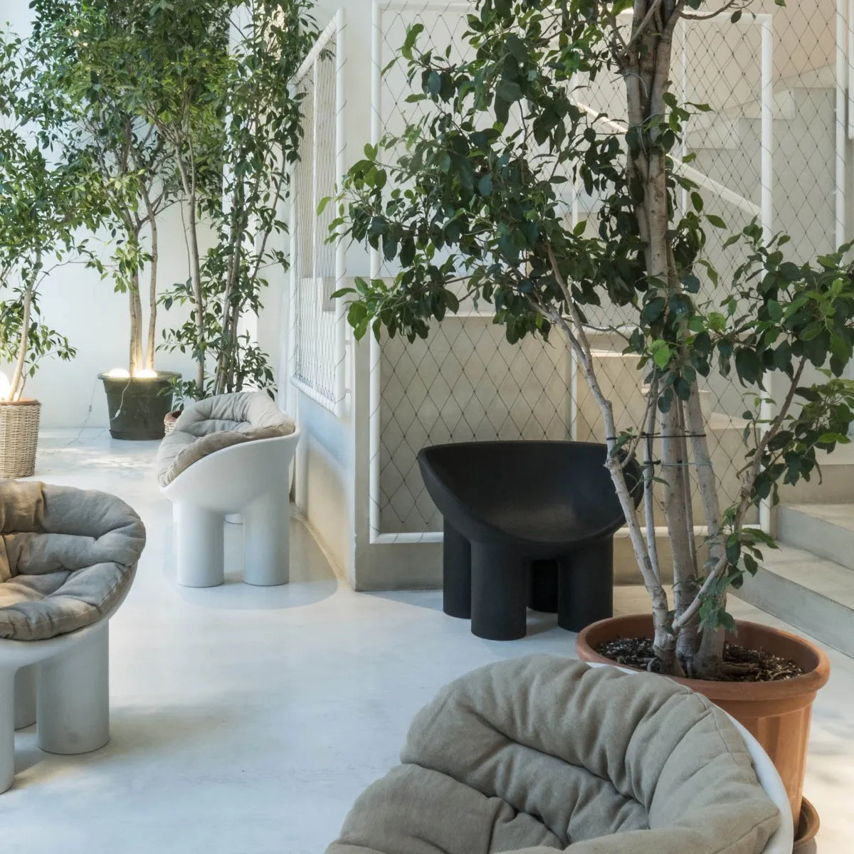 Stuhl Rolle Kohle Poly