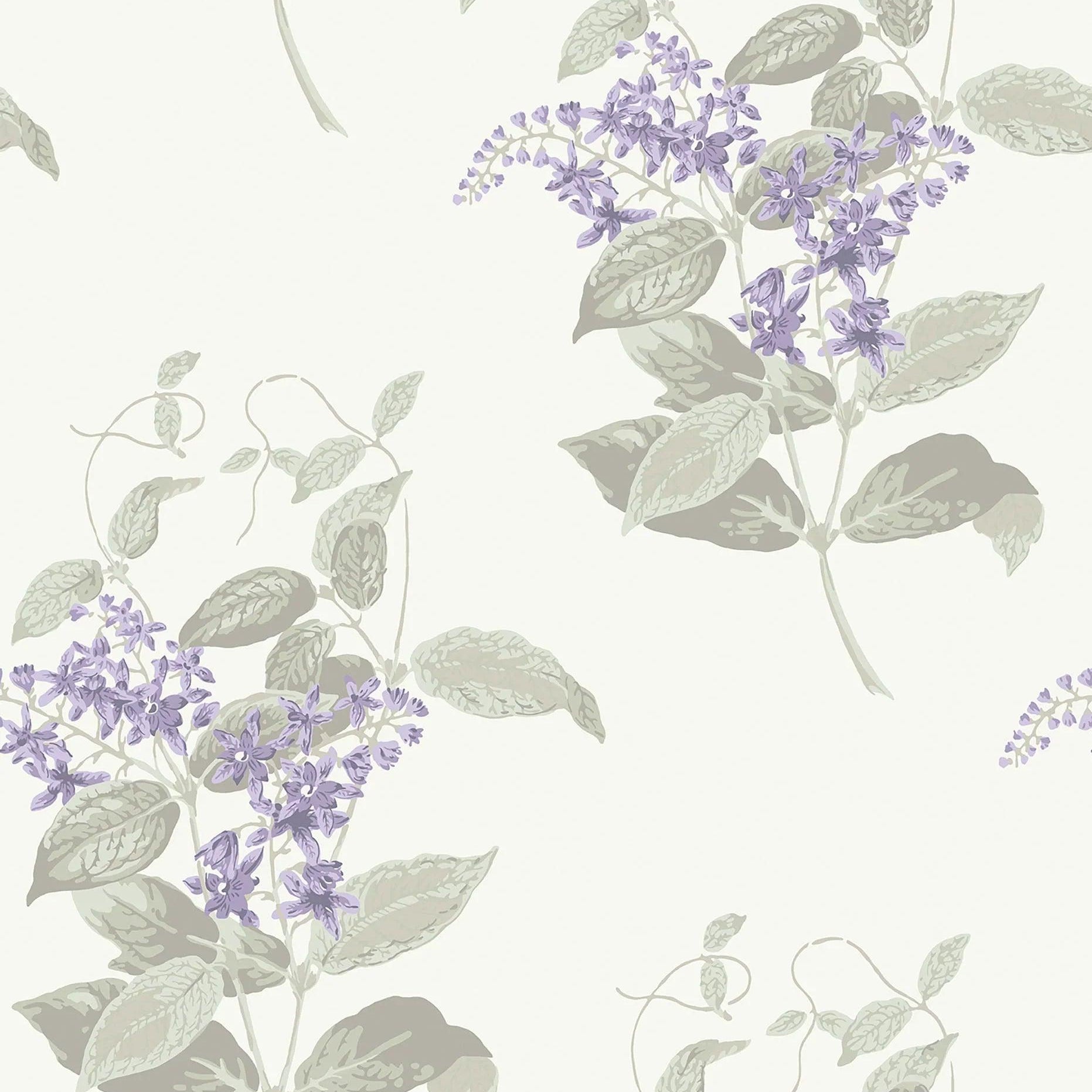 Tapeta ARCHIVE ANTHOLOGY - Madras Violet liliowy na białym Cole & Son    Eye on Design