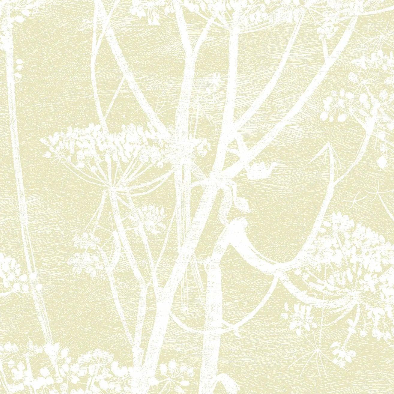 Tapeta CONTEMPORARY COLLECTION - Cow Parsley żółty Cole & Son    Eye on Design