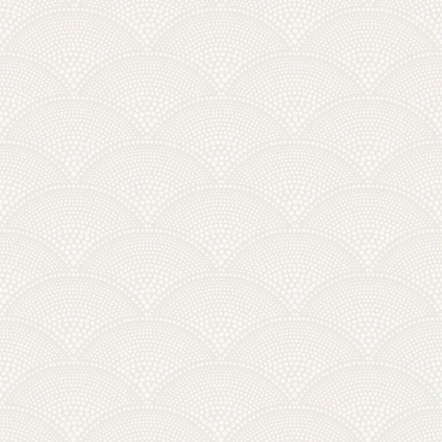 Tapeta CONTEMPORARY COLLECTION - Feather Fan biały Cole & Son    Eye on Design