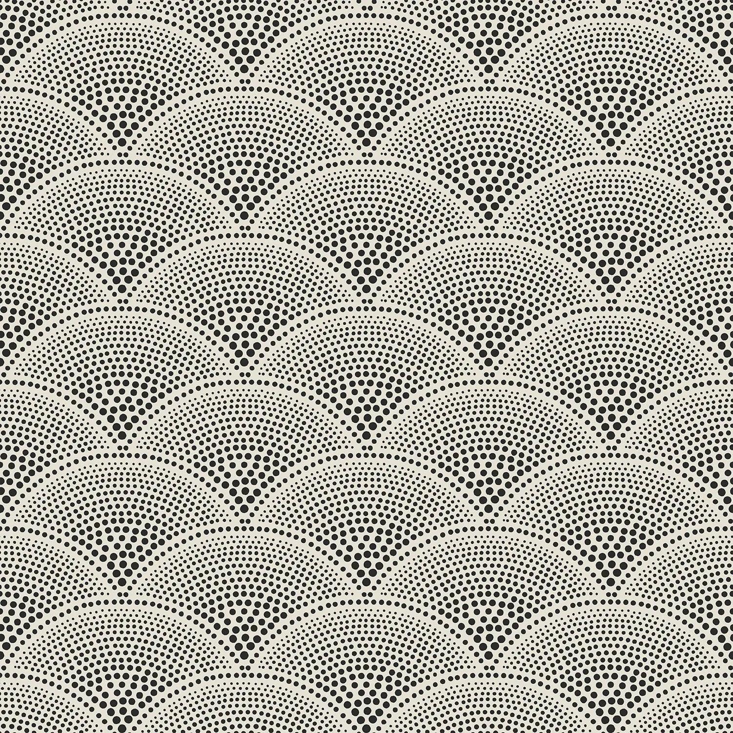 Tapeta CONTEMPORARY COLLECTION - Feather Fan czarny Cole & Son    Eye on Design