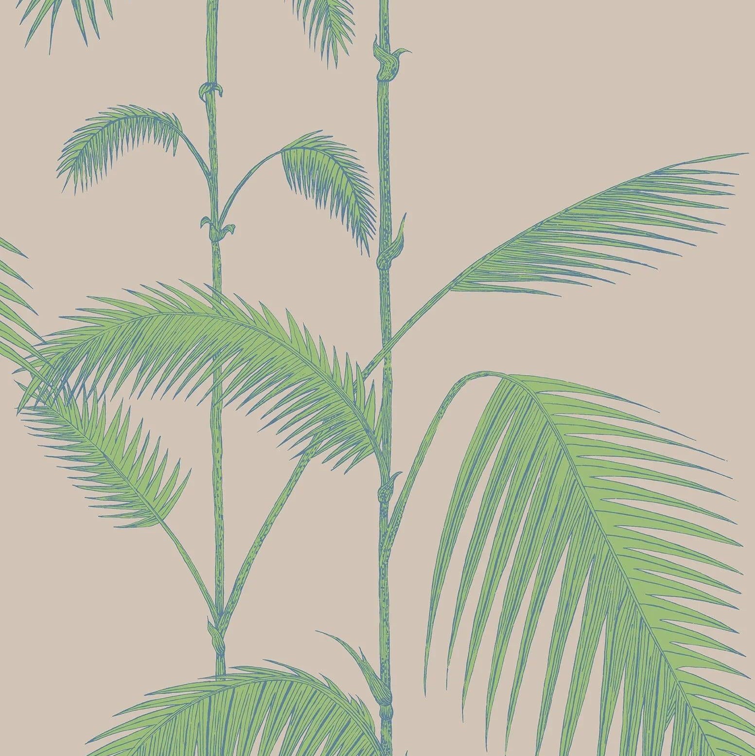 Tapeta CONTEMPORARY COLLECTION - Palm Leaves zielony na beżu Cole & Son    Eye on Design