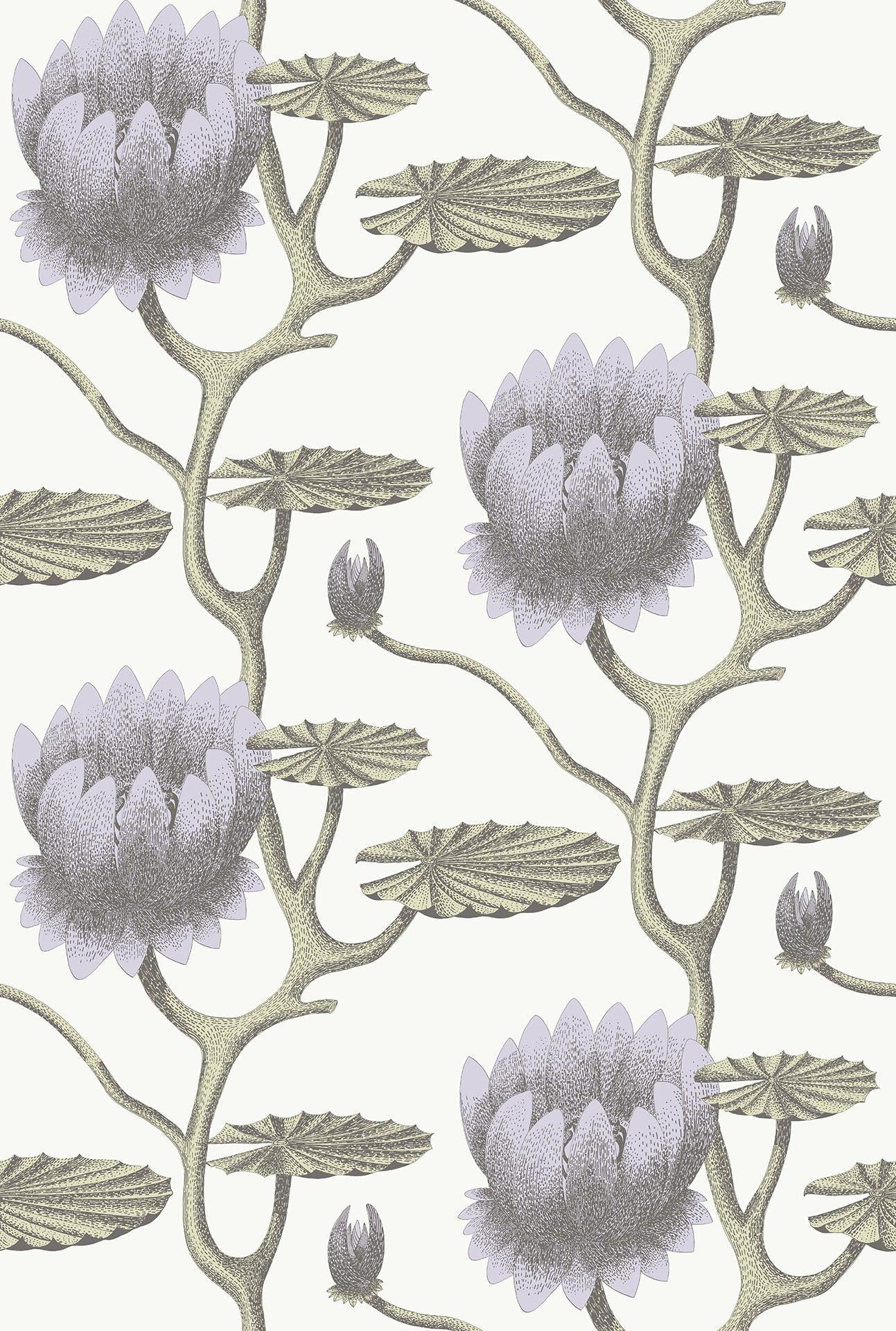 Tapeta CONTEMPORARY COLLECTION - Summer Lily fiolet na bieli Cole & Son    Eye on Design