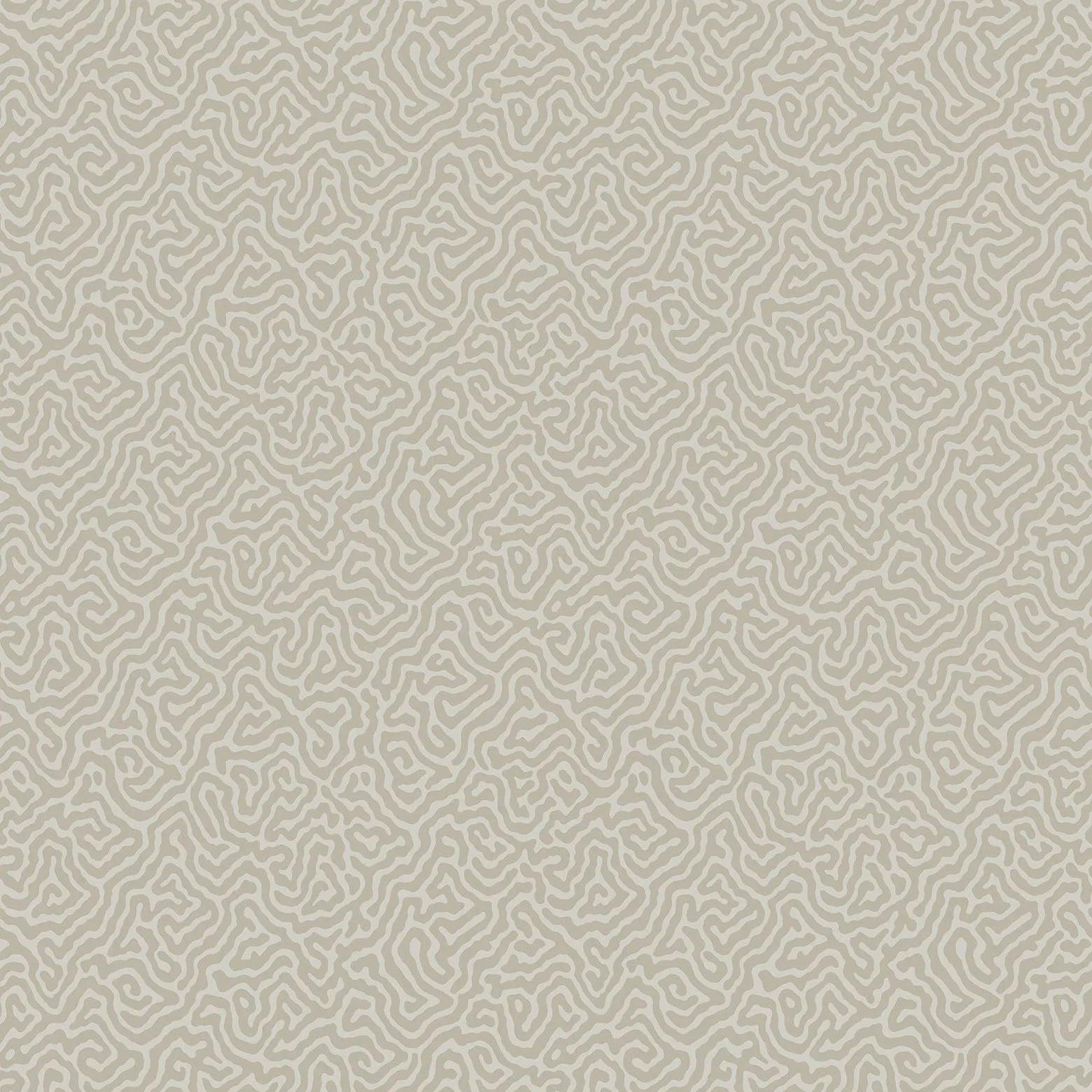 Tapeta CURIO - Vermicelli beżowy Cole & Son    Eye on Design