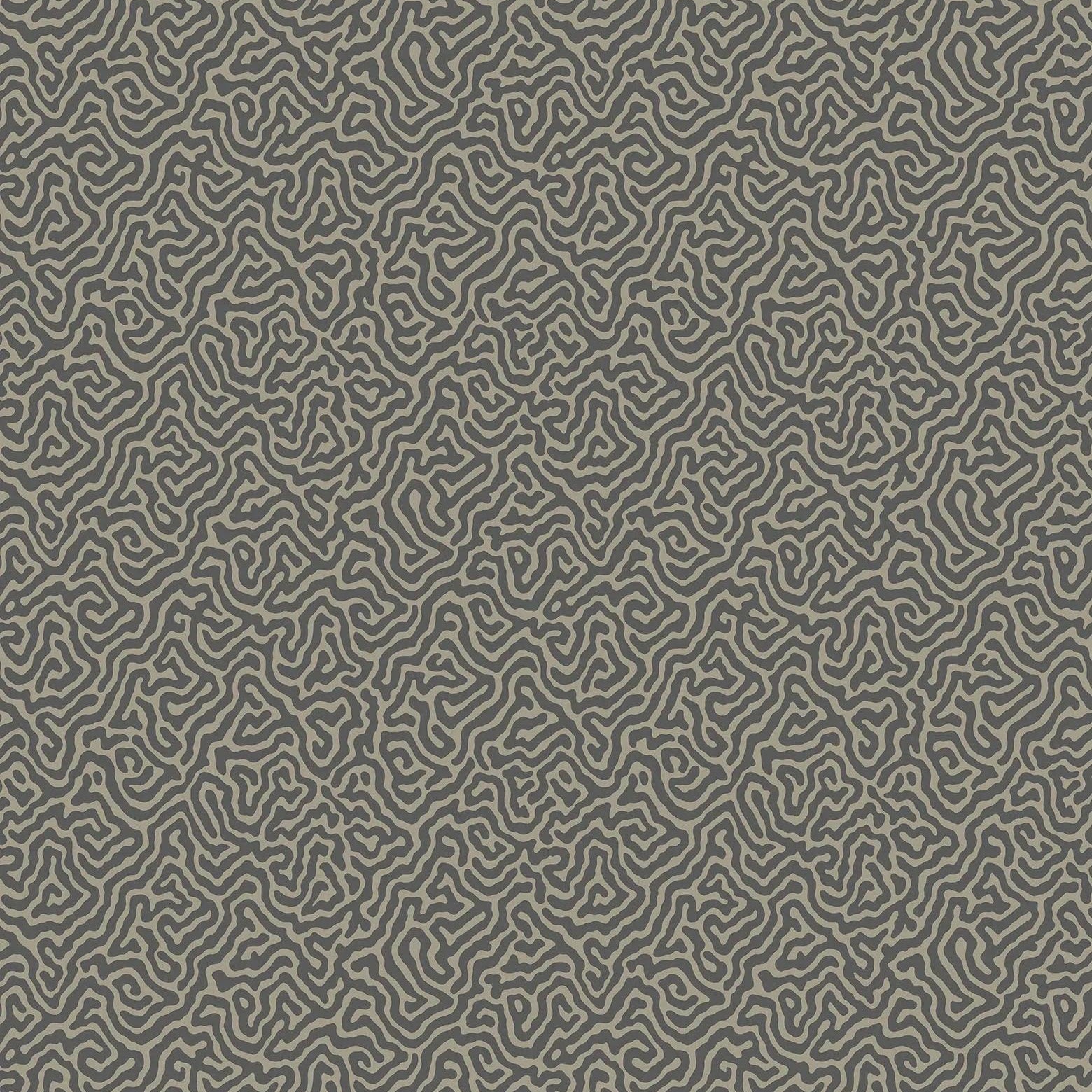 Tapeta CURIO - Vermicelli czarny Cole & Son    Eye on Design