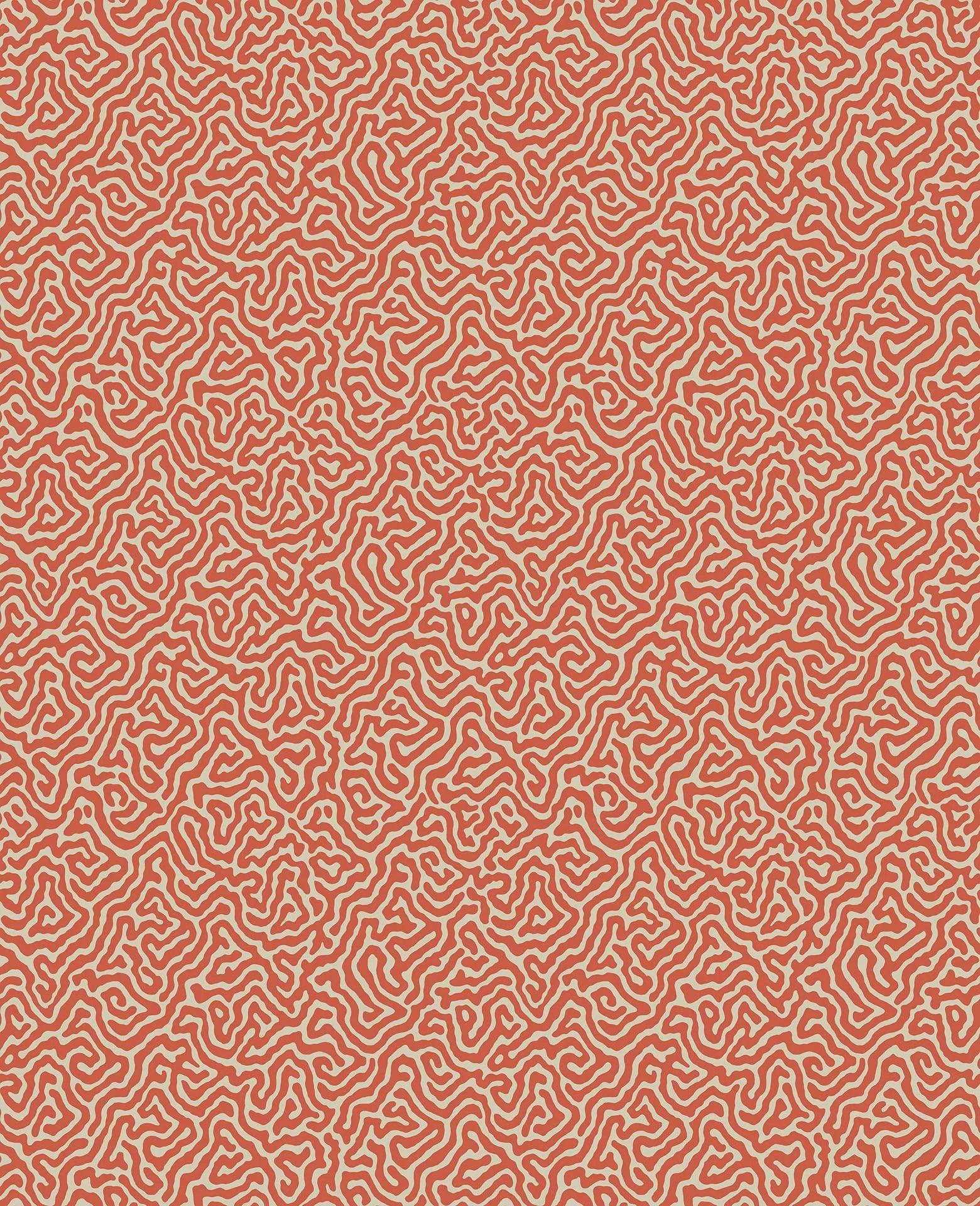 Tapeta CURIO - Vermicelli koral Cole & Son Default Title   Eye on Design