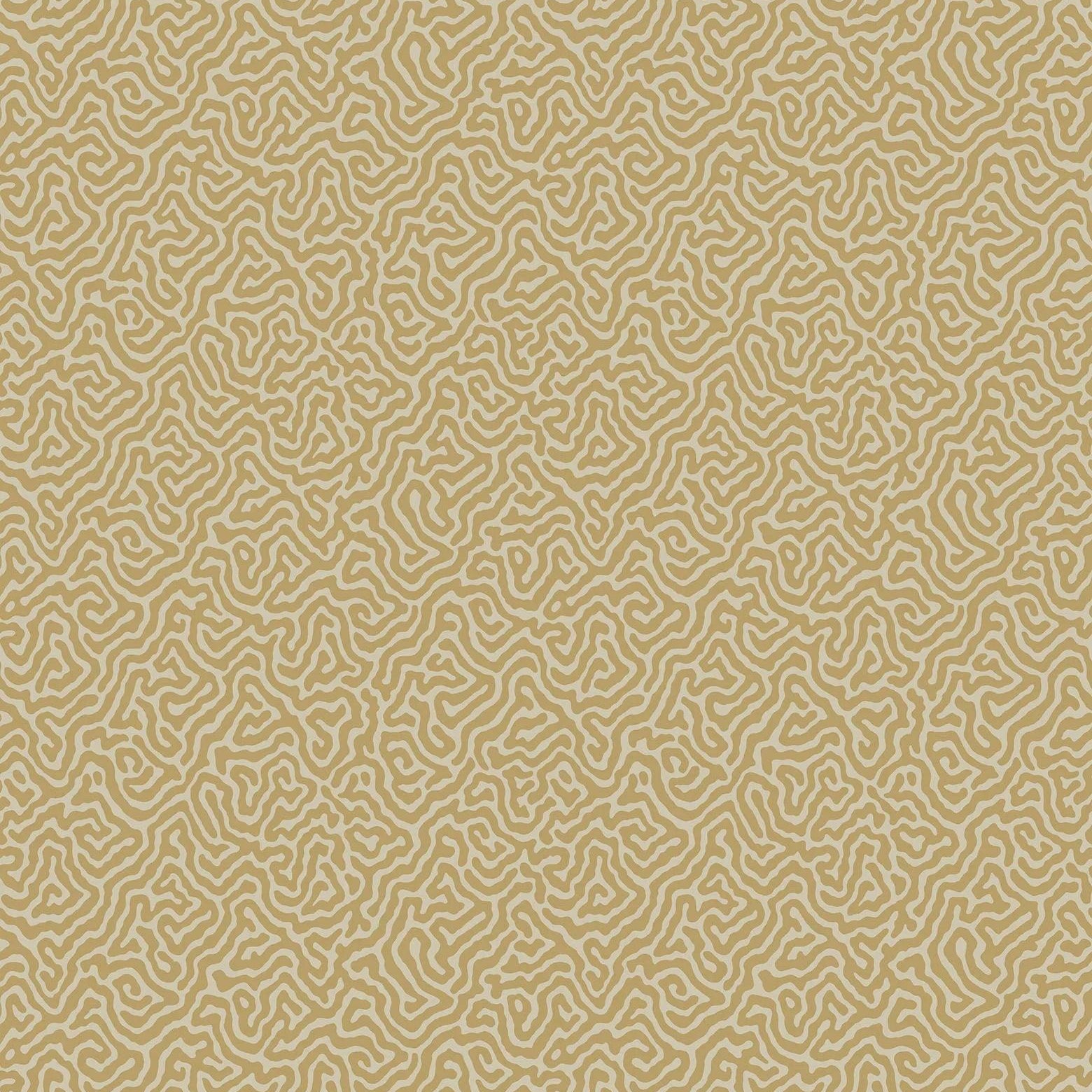 Tapeta CURIO - Vermicelli metaliczne złoto Cole & Son    Eye on Design