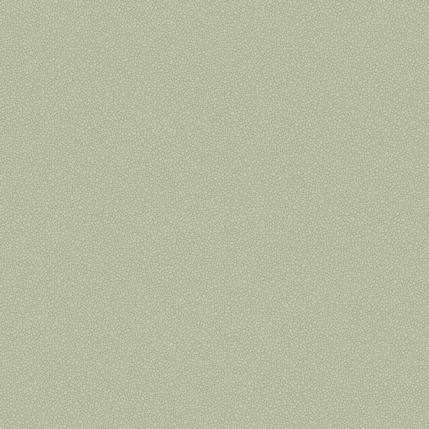 Tapeta LANDSCAPE PLAINS - Pebble jasna oliwka Cole & Son    Eye on Design