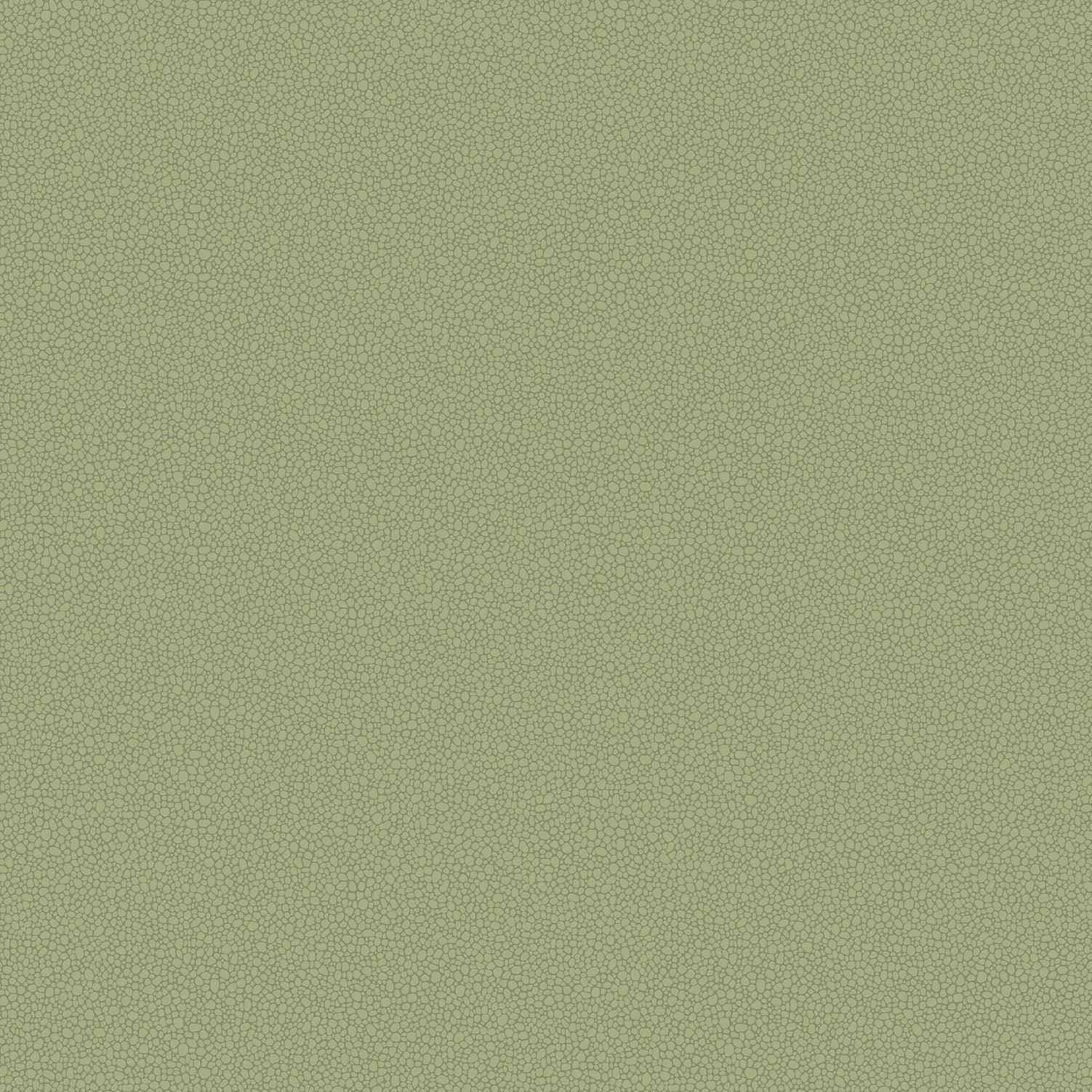 Tapeta LANDSCAPE PLAINS - Pebble oliwkowy Cole & Son    Eye on Design